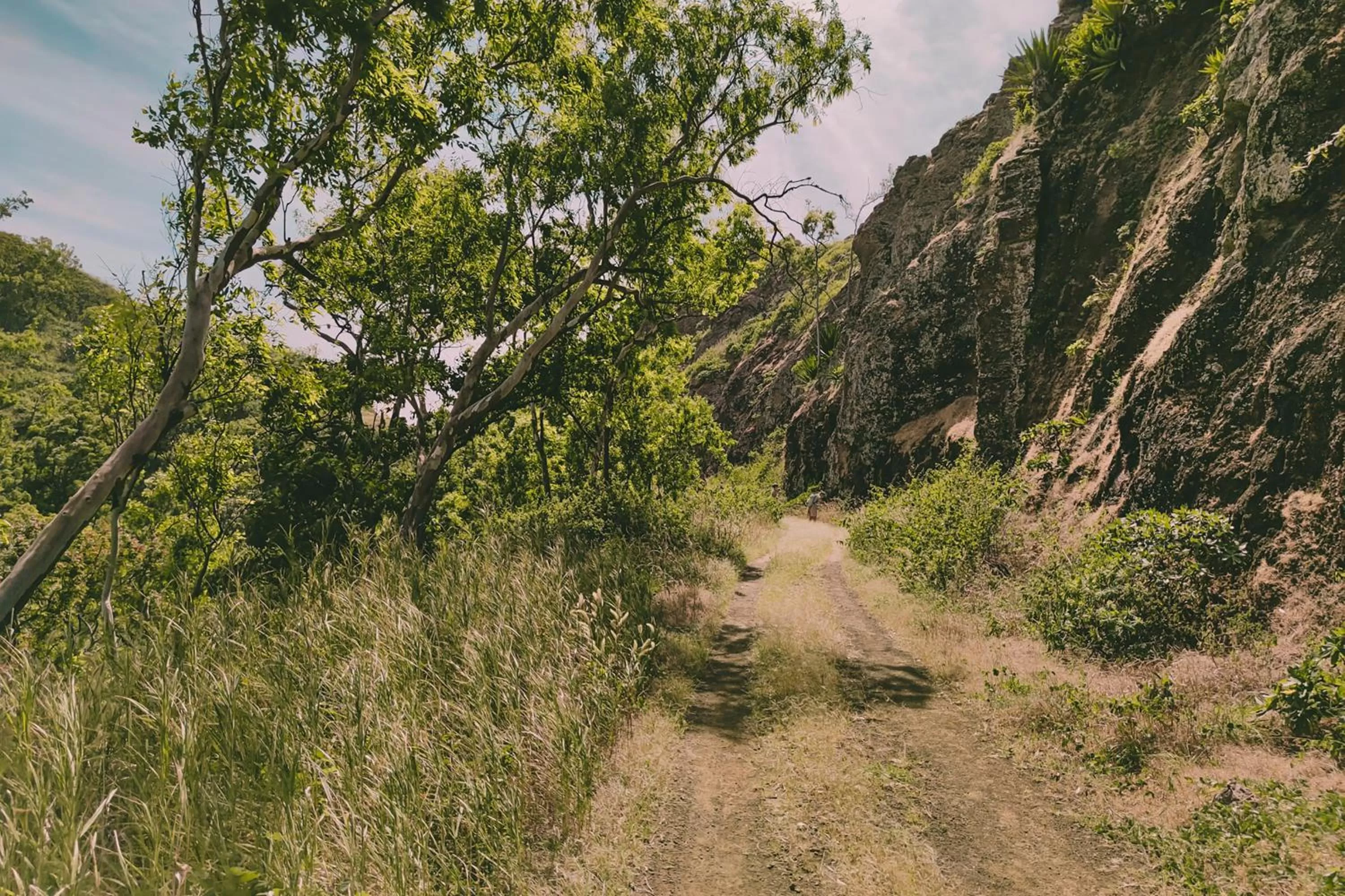 Natural landscape in King Fisher Village Eco-Boutique Hotel