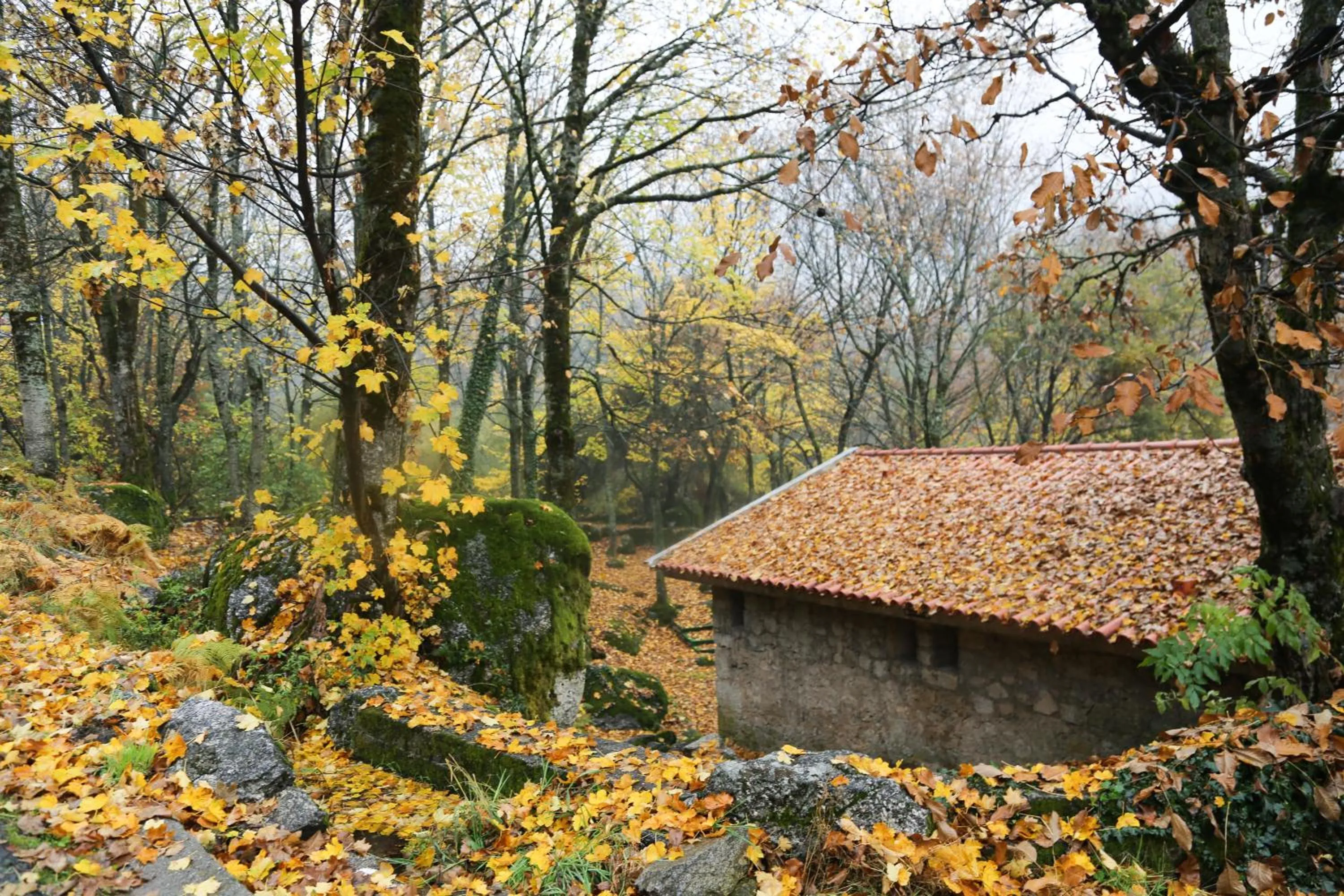 Natural landscape in INATEL Manteigas