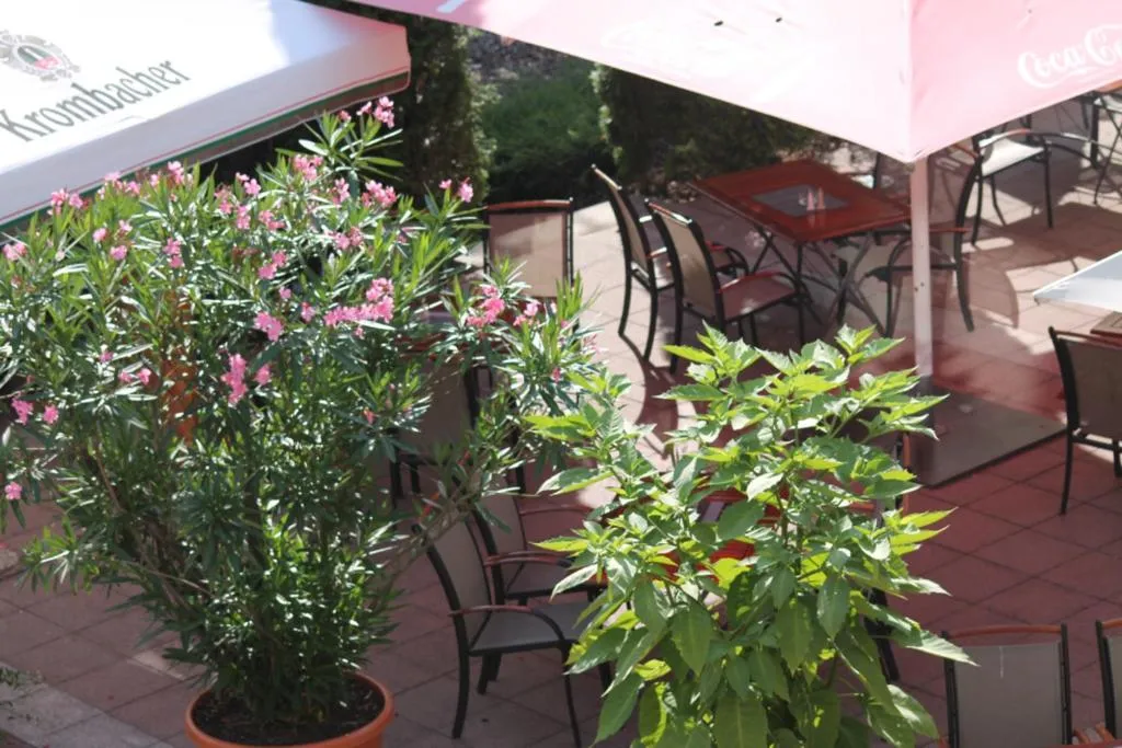 Balcony/Terrace in Parkhotel Altes Kaffeehaus