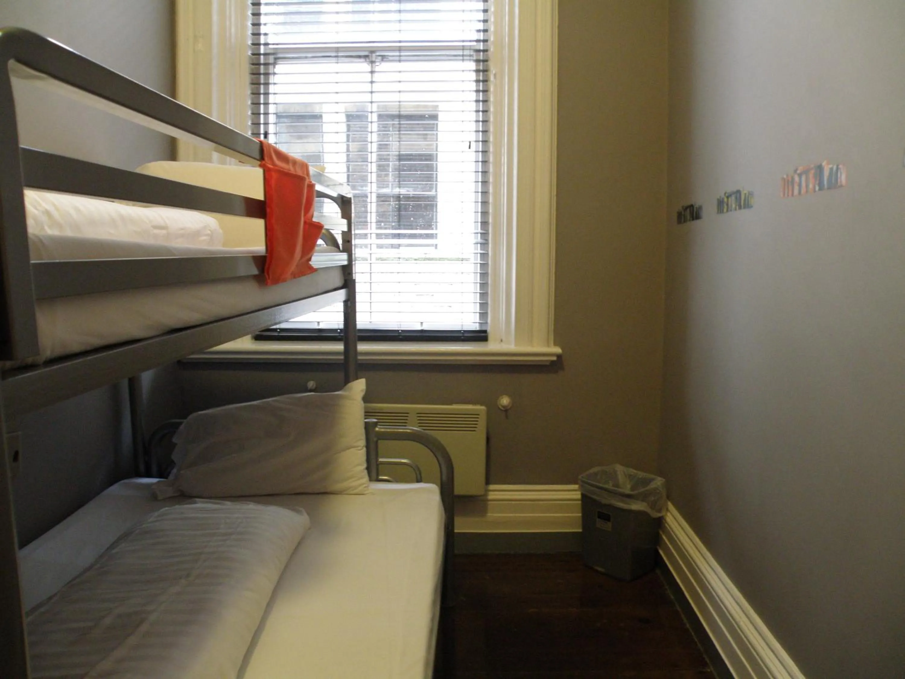 bunk bed, Bed in Albatross Hostel