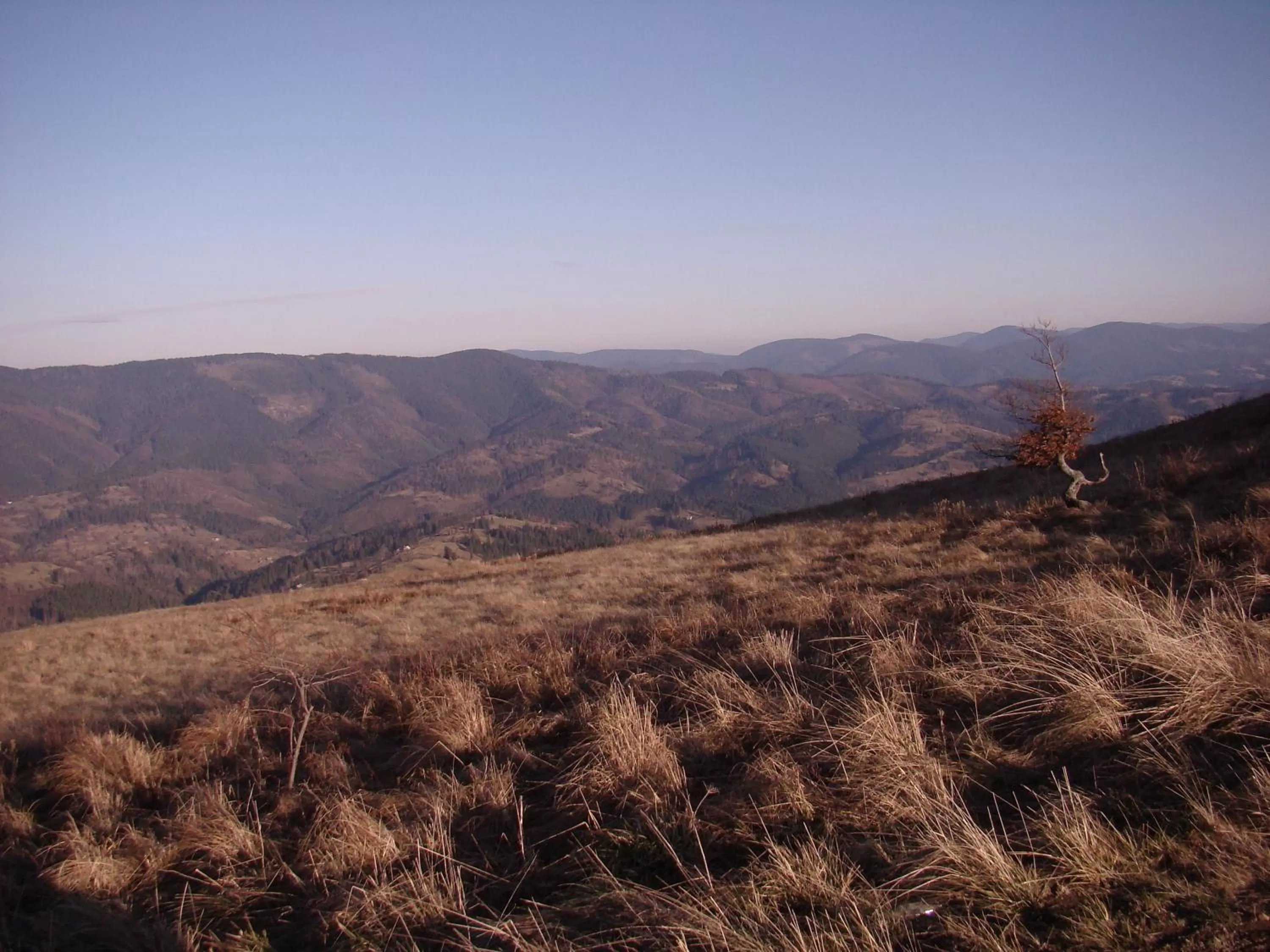 Natural landscape in Terem