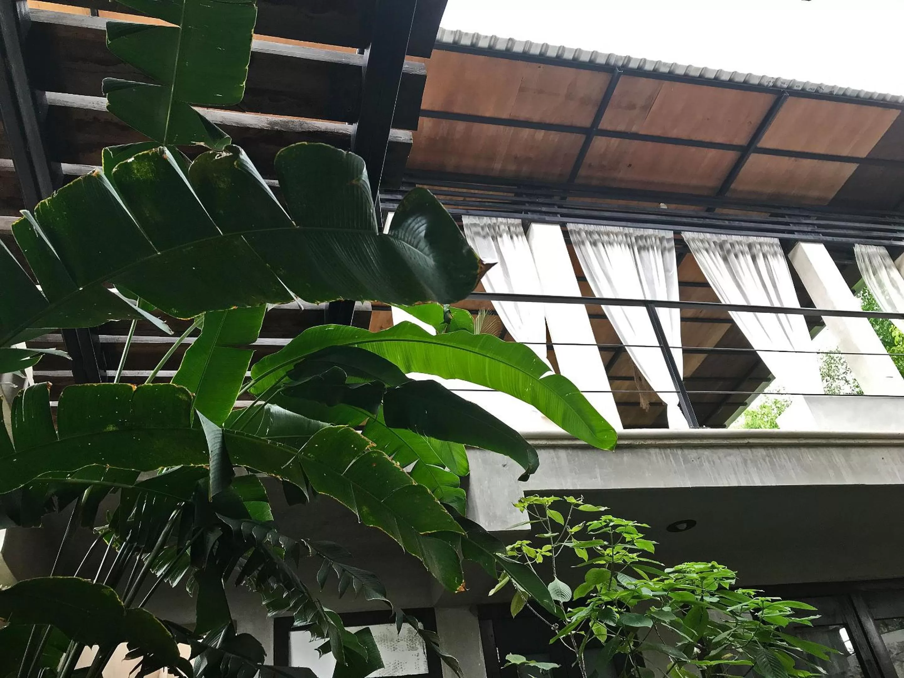 Balcony/Terrace in La Flor Casa Boutique