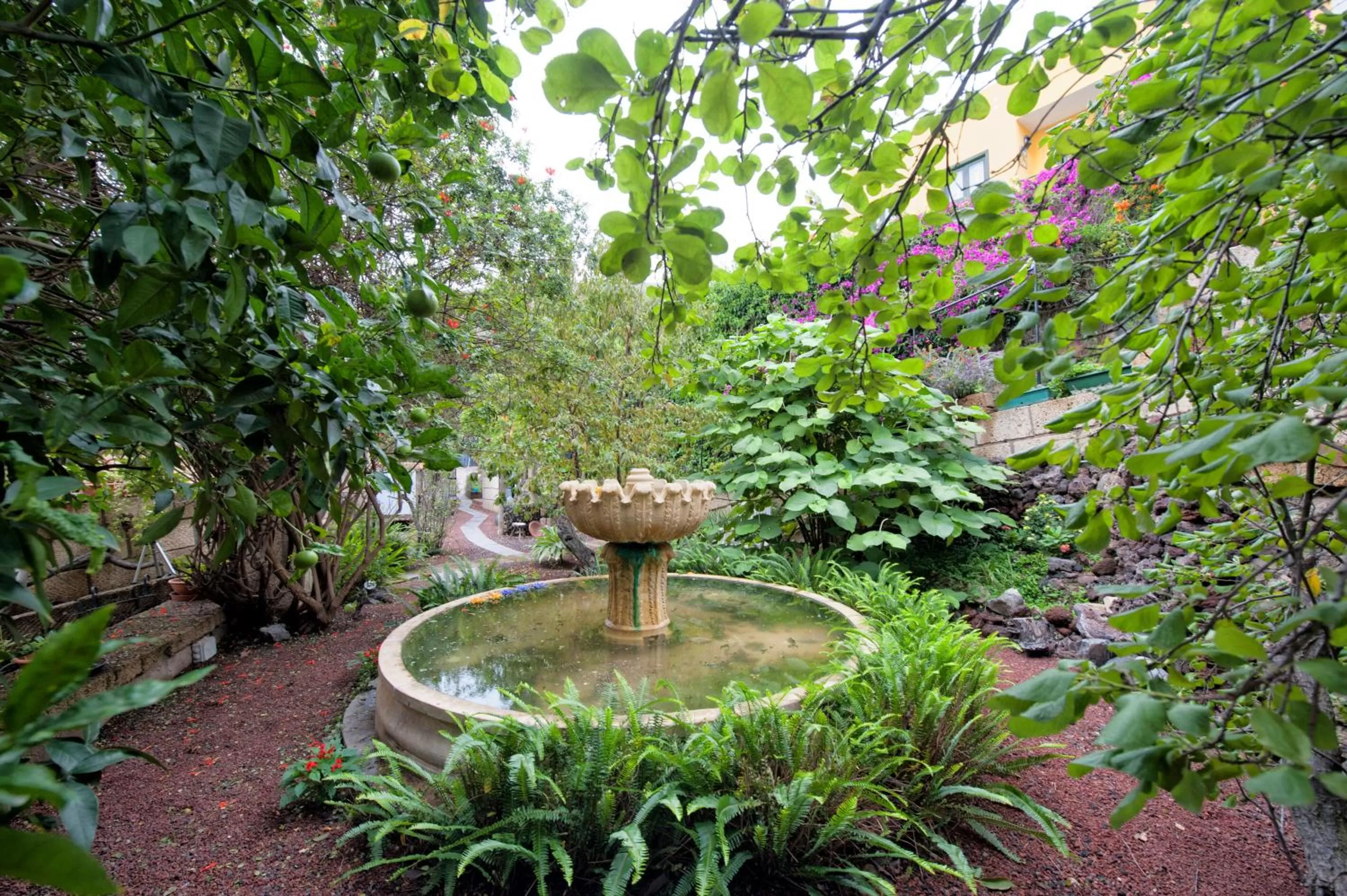 Garden in Hotel Rural Senderos de Abona
