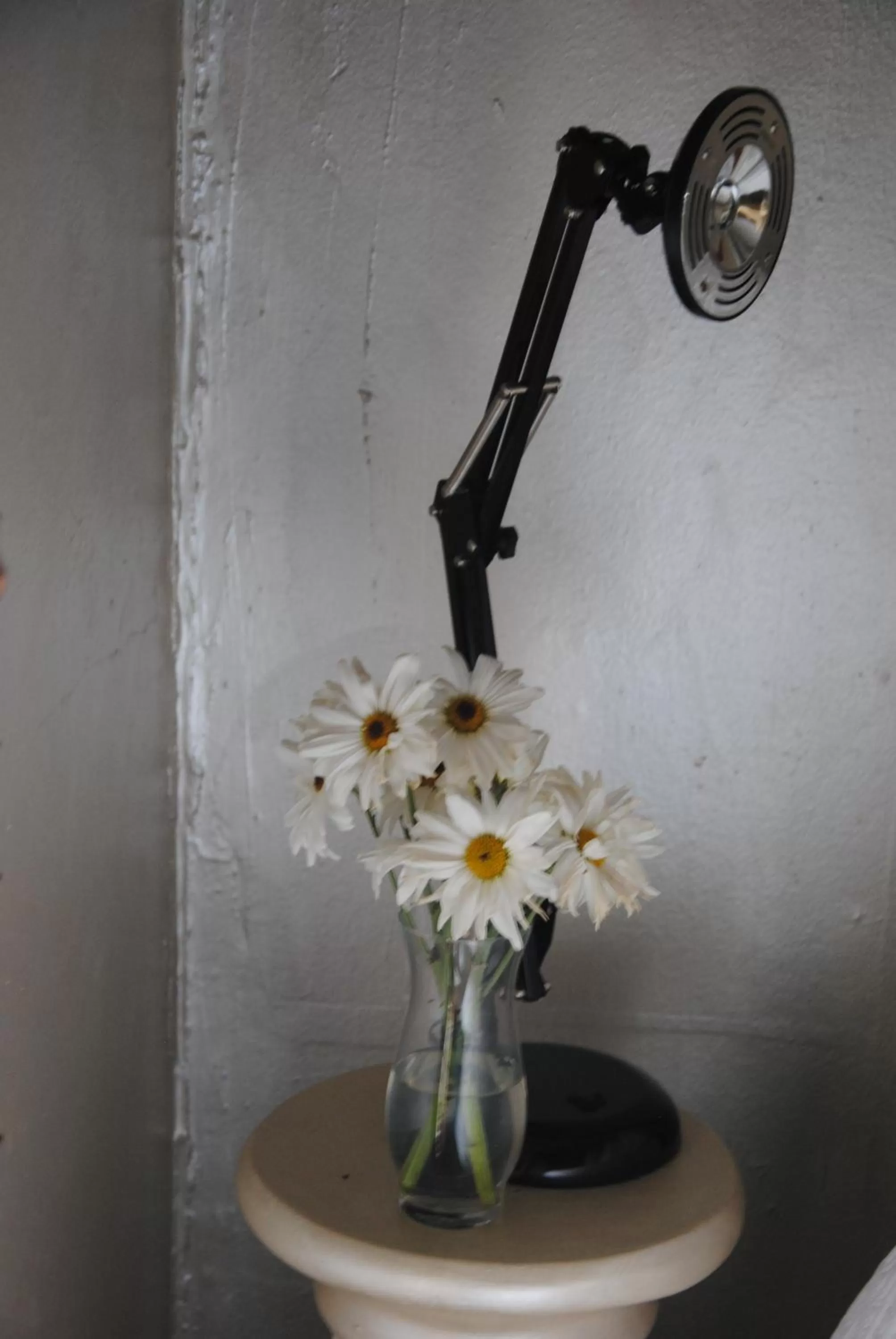 Decorative detail, Bathroom in Off Broadway B & B