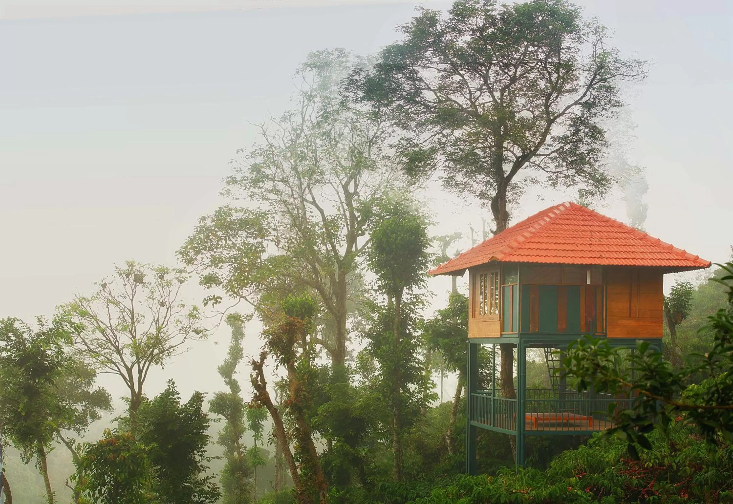 View (from property/room) in Marmalade Springs Resort Wayanad