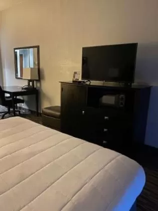 TV and multimedia, Bed in Lakeside Resort & Conference Center