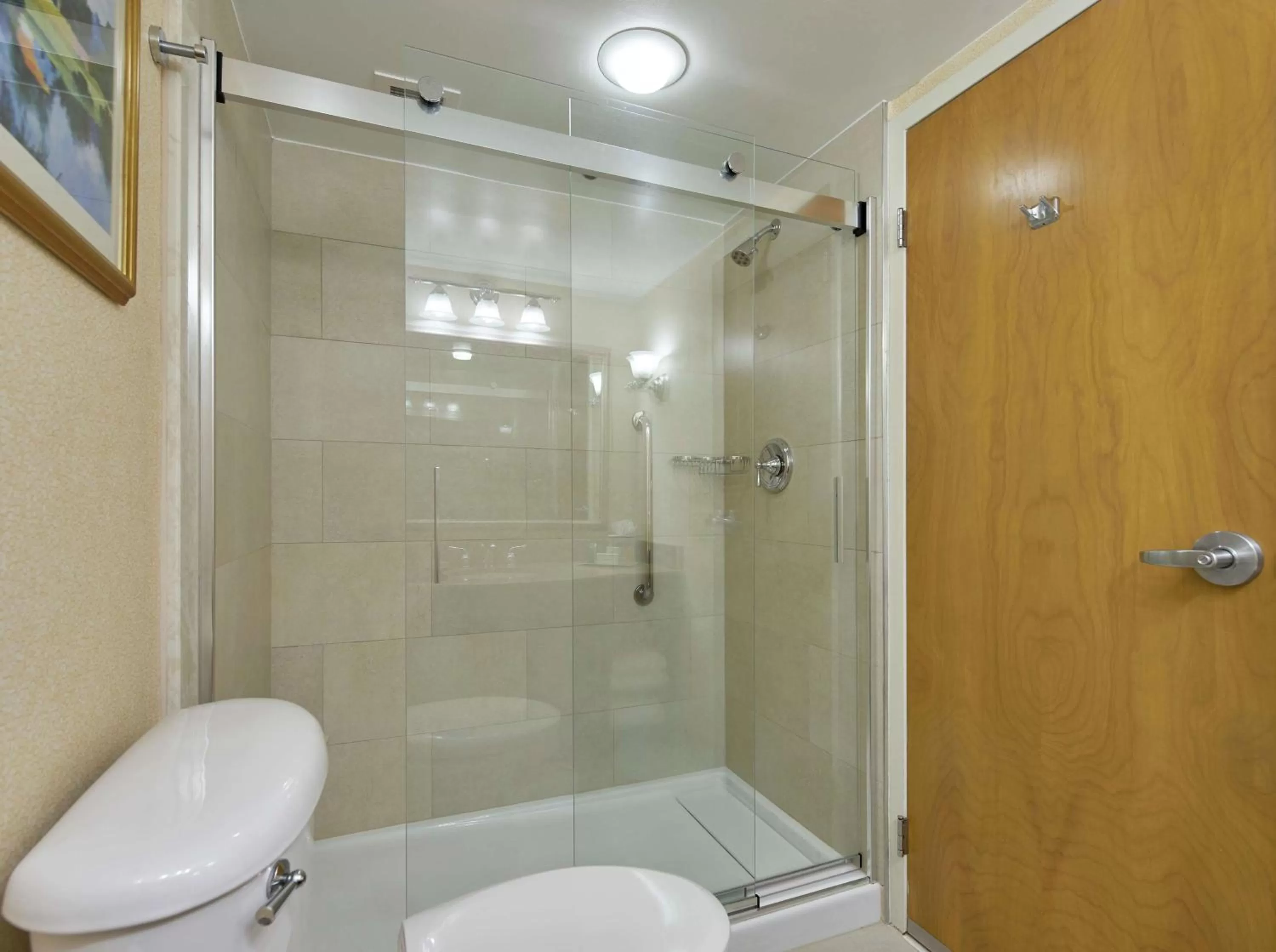 Bathroom in Hilton Raleigh North Hills