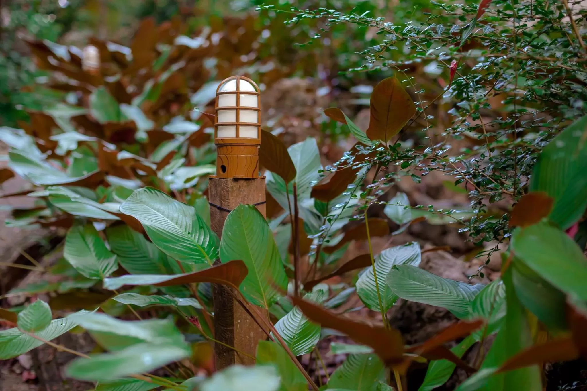 Garden in Aonang Cliff View Resort SHA Extra Plus