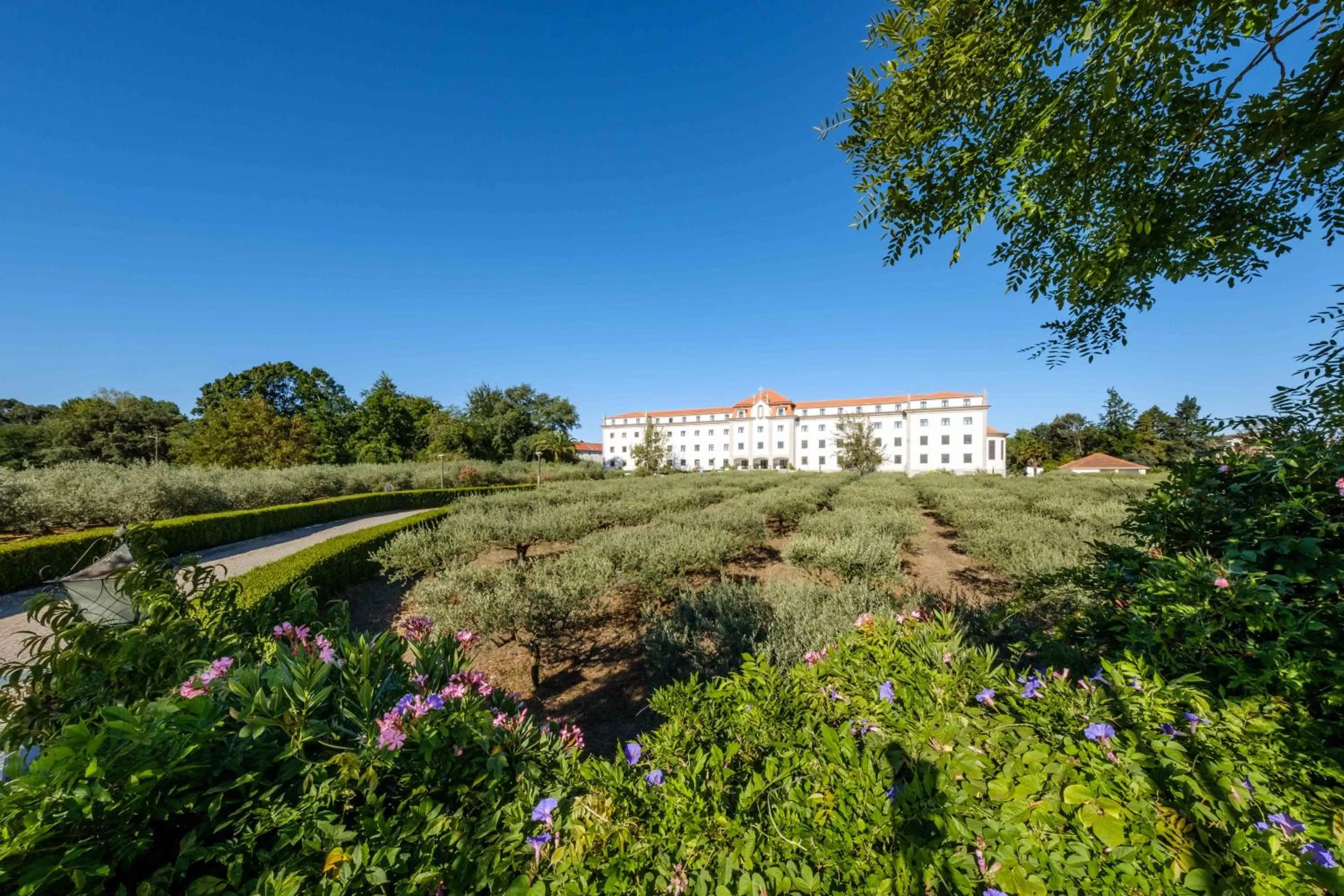 Property building in SDivine Fatima Hotel, Congress & Spirituality