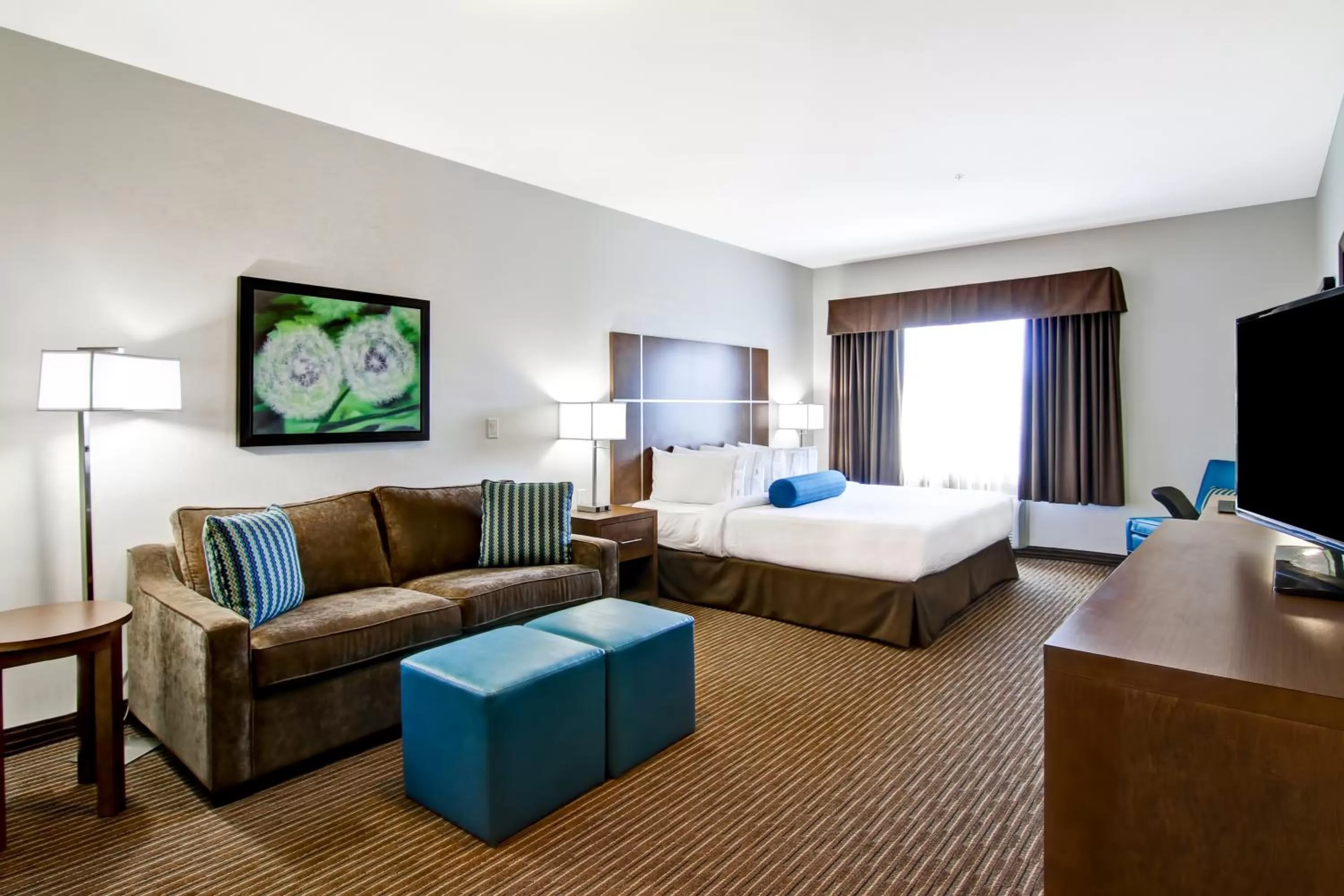 Photo of the whole room, Bed in Canalta Selkirk