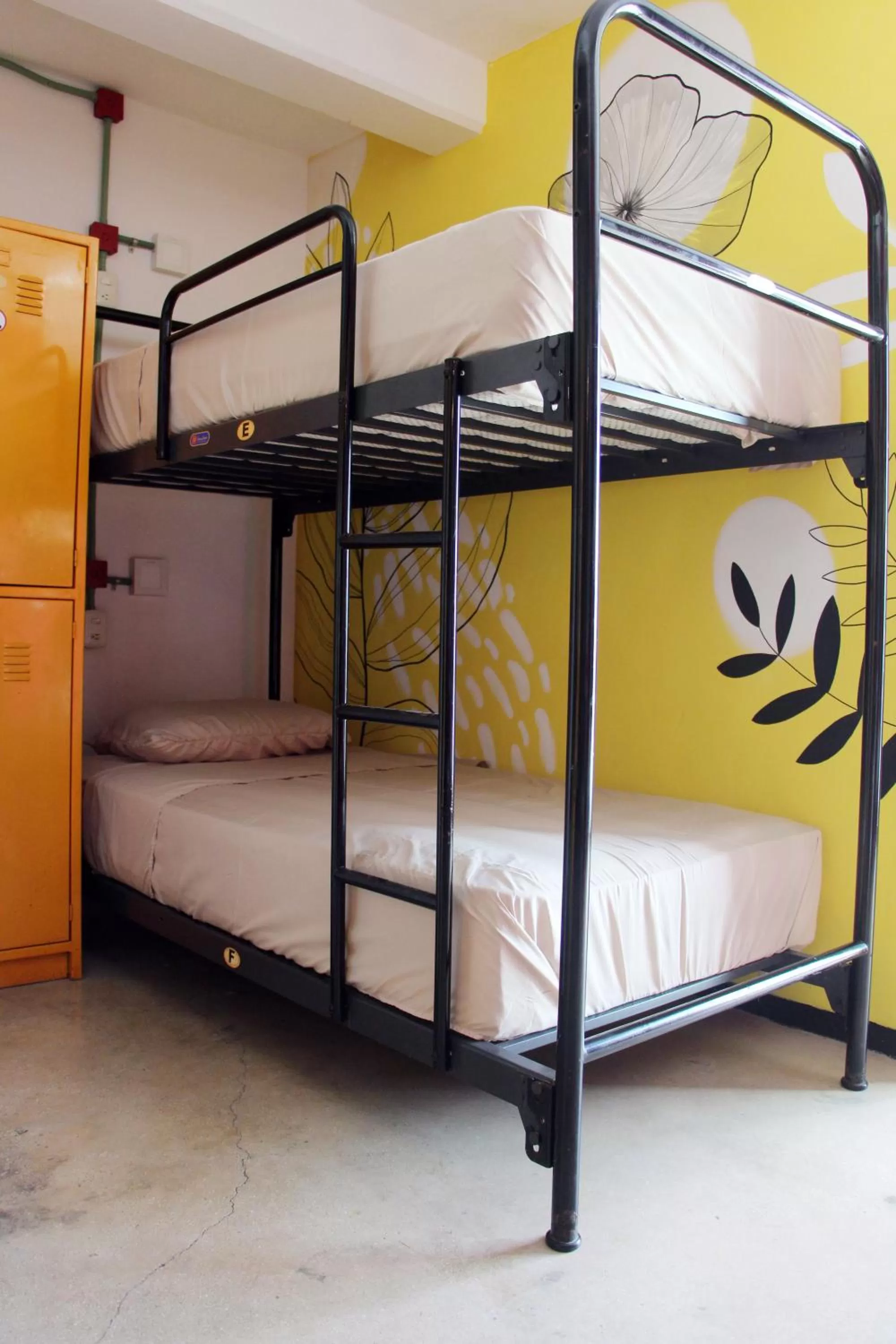 Photo of the whole room in Hotel & Hostal Casa de Luz Cancun