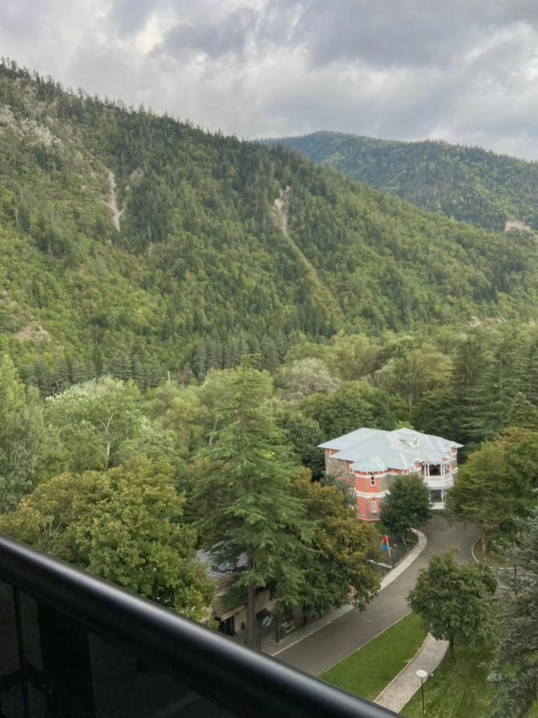View (from property/room) in Borjomi Likani Health & Spa Centre