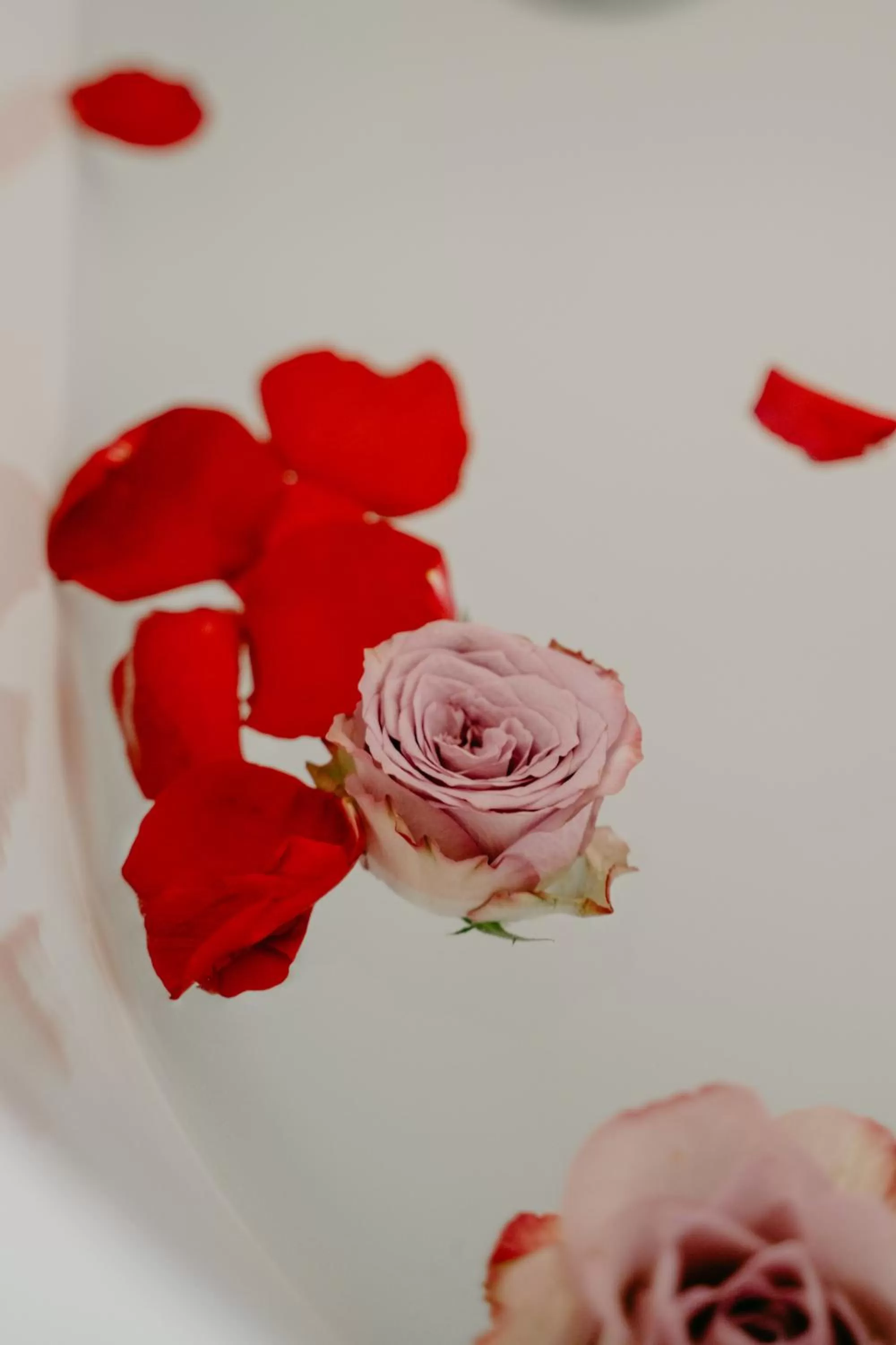 Decorative detail in Hotel Abaco Altea