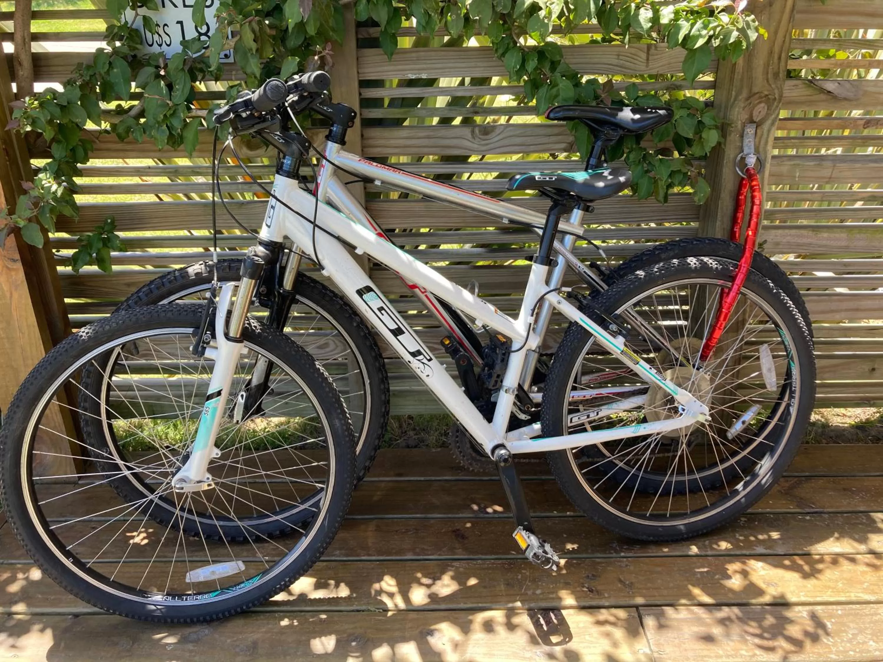 Cycling in Live Hotel Boutique (Adults only)