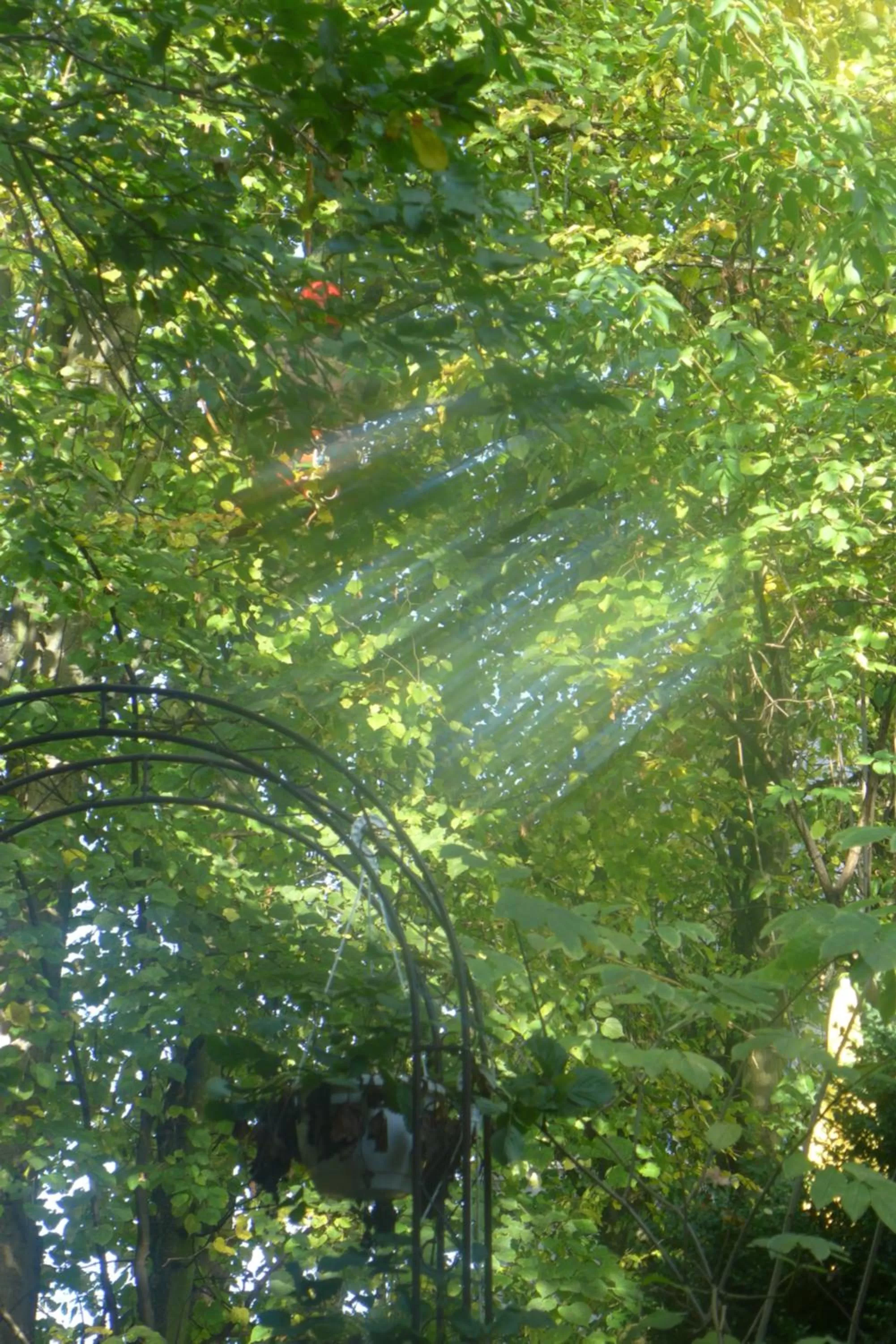 Natural landscape in Hotel Heidpark