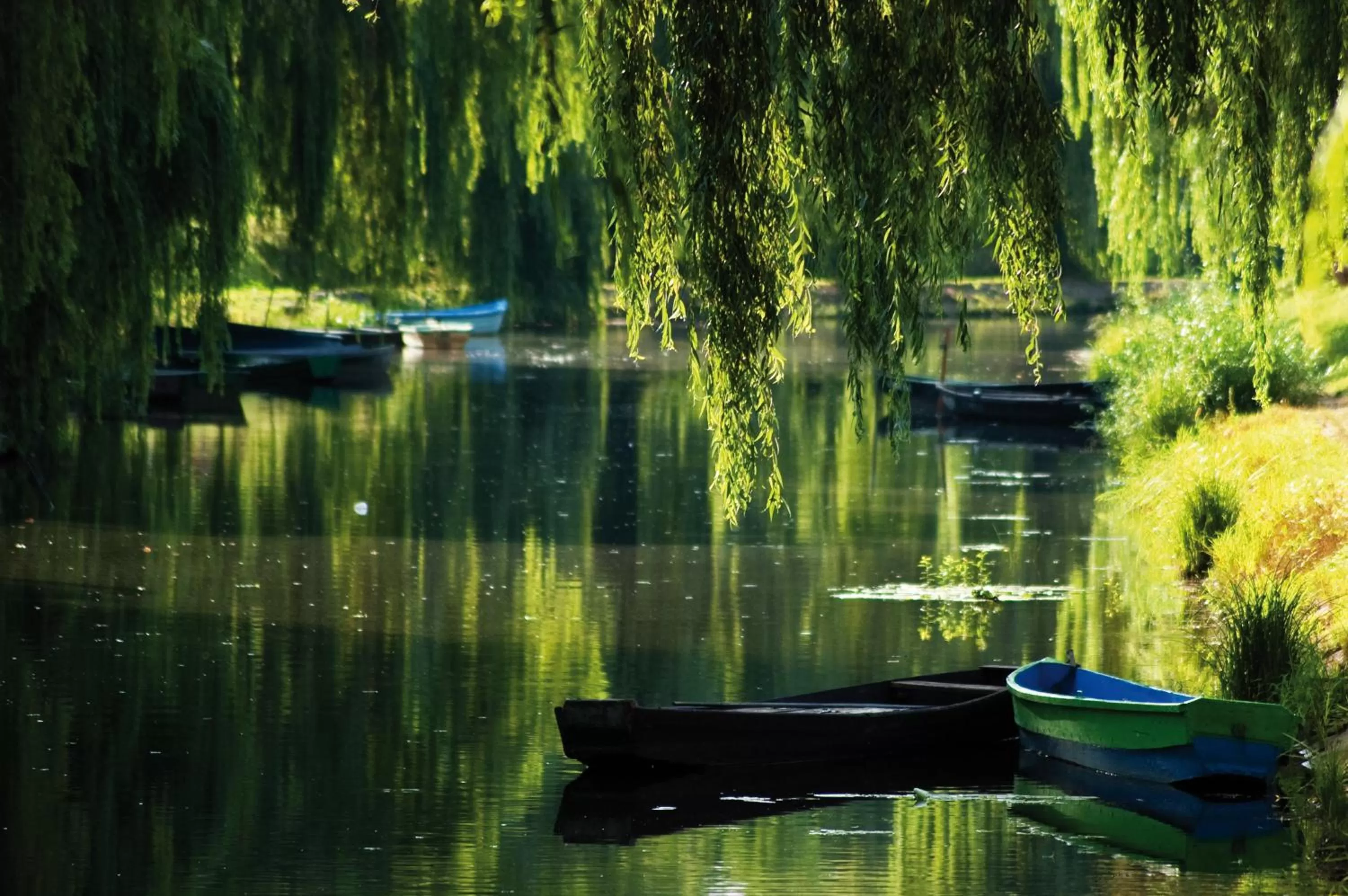 Hotel Zamek Pułtusk Dom Polonii