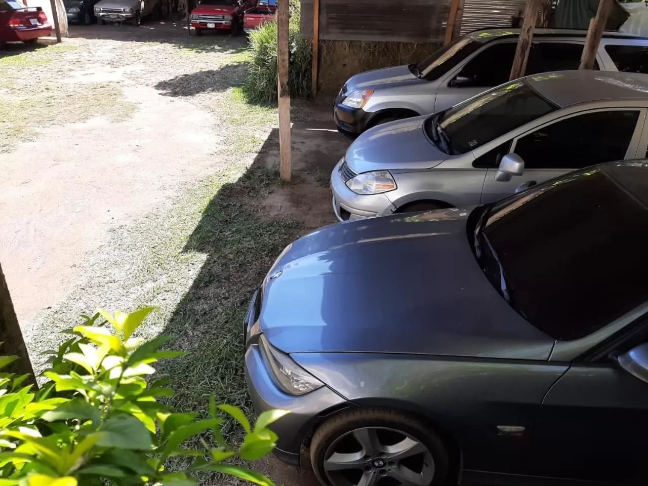 Millennium Apartment