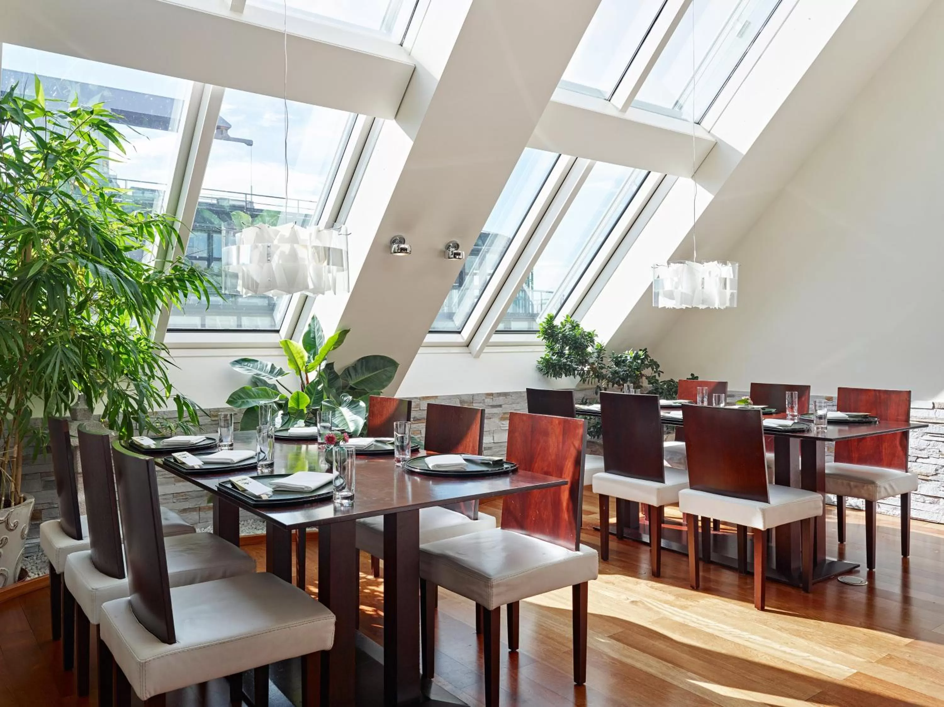 Restaurant/places to eat in Grand Hotel Wien