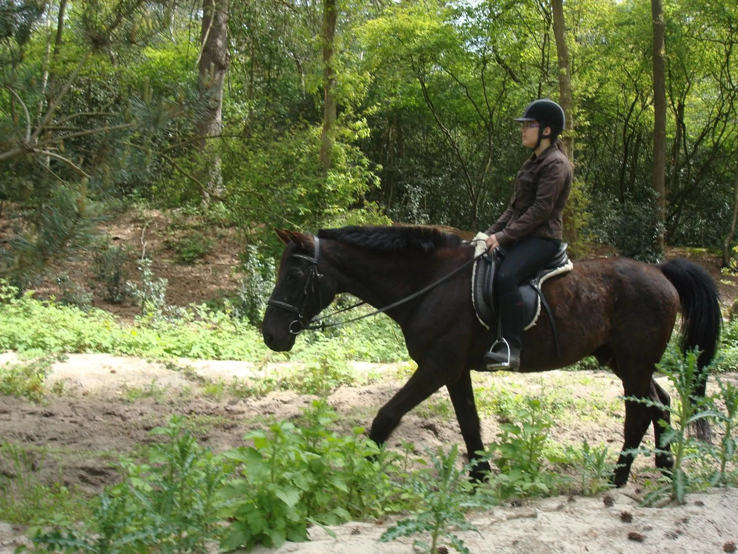 Horse-riding in Hotel Rasch
