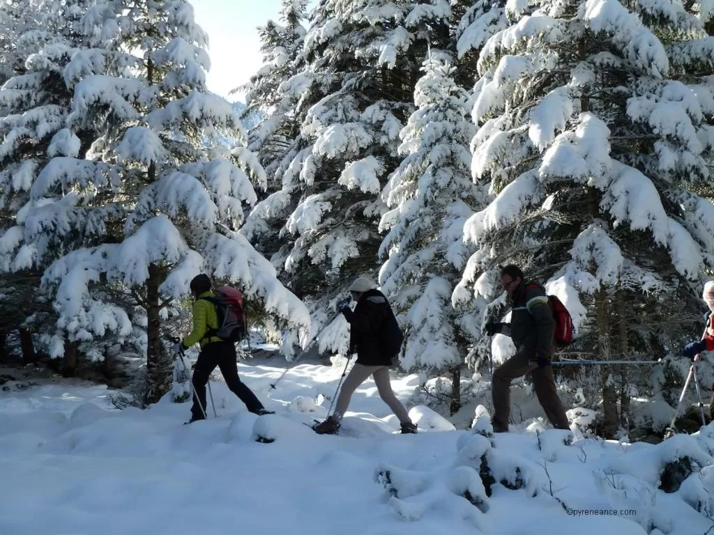 Other, Winter in Hôtel Saint Vincent