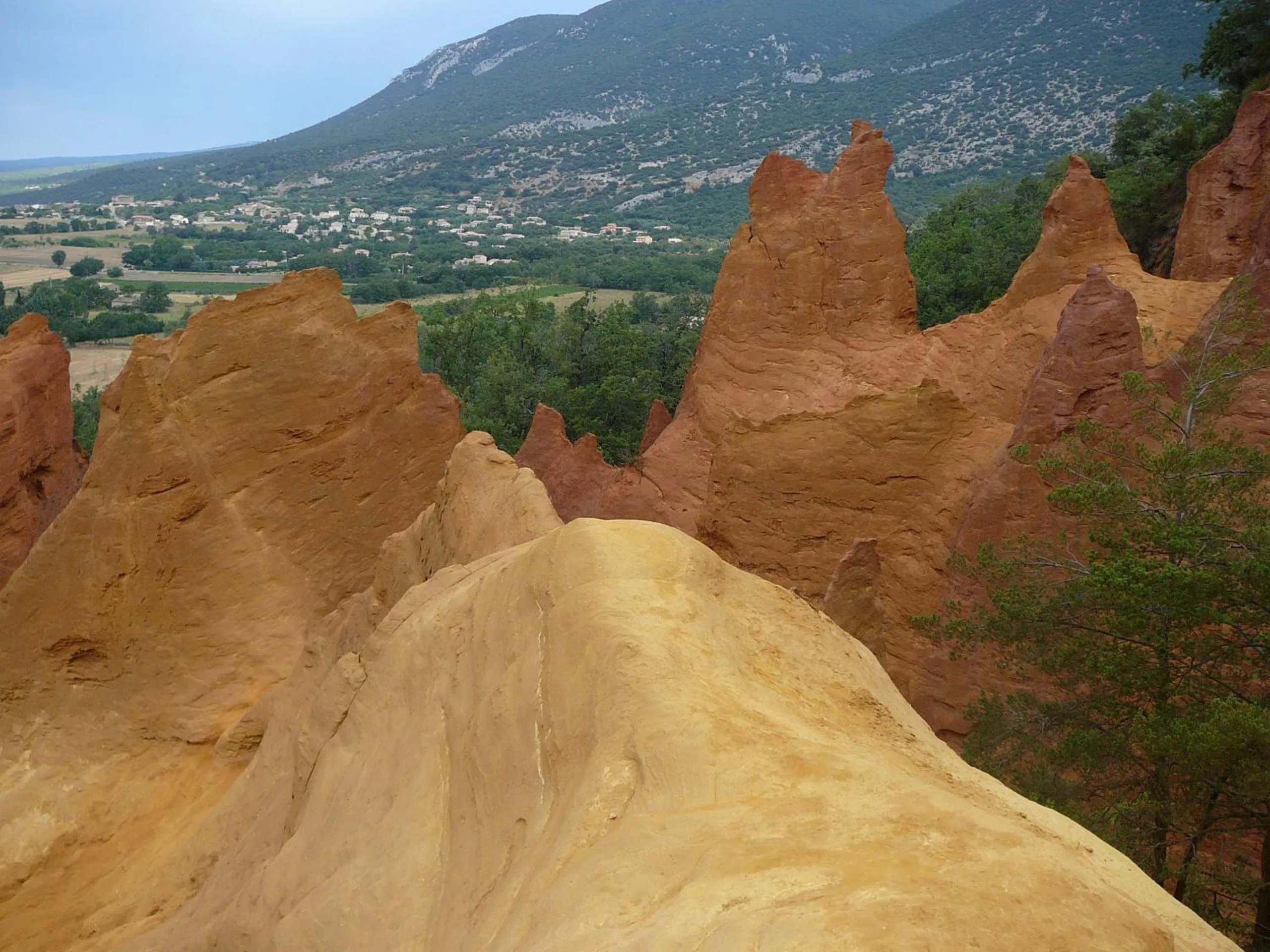 Natural landscape in Mas De La Senancole & Spa
