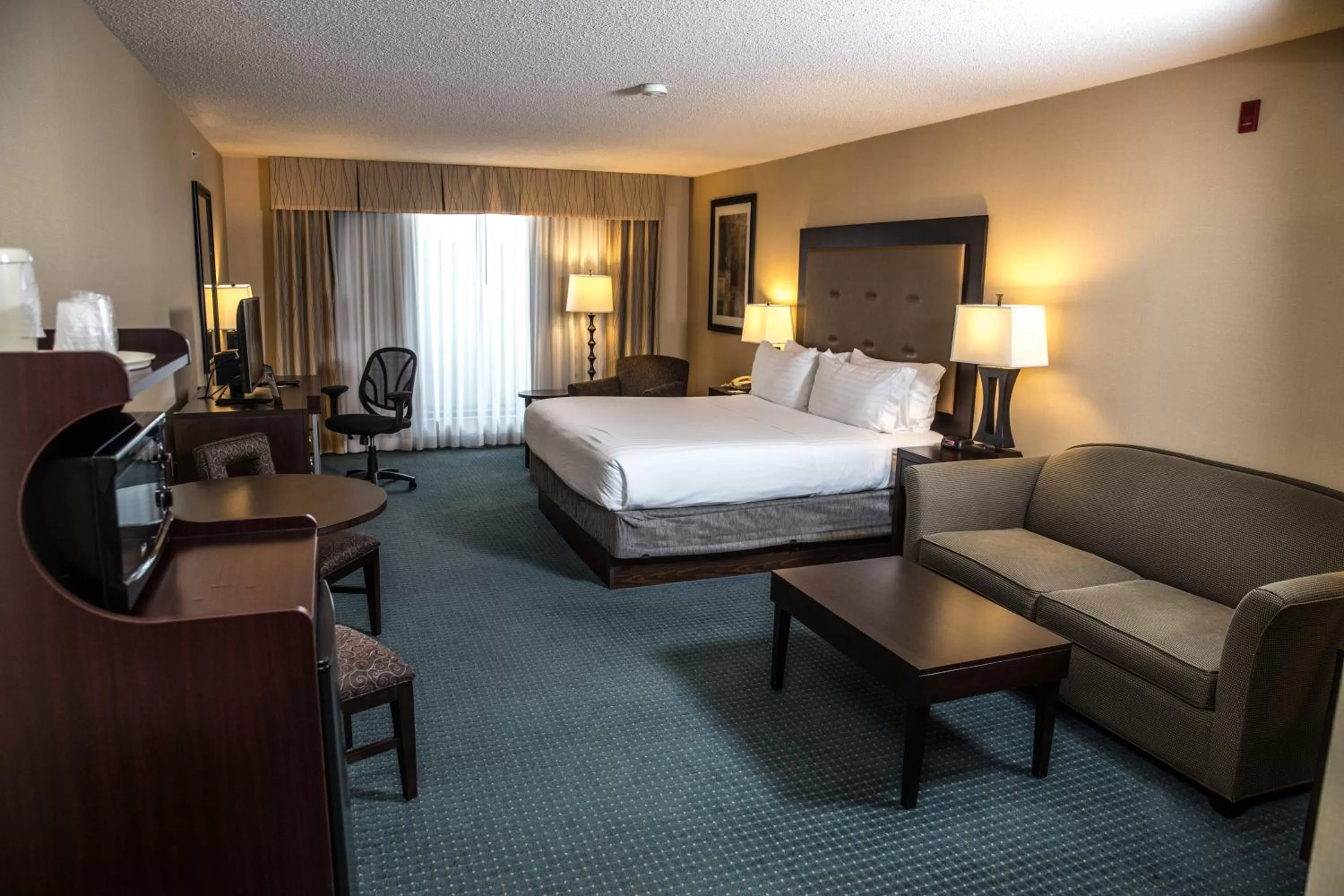 King Suite in Holiday Inn Express Hotel & Suites - Novi, an IHG Hotel
