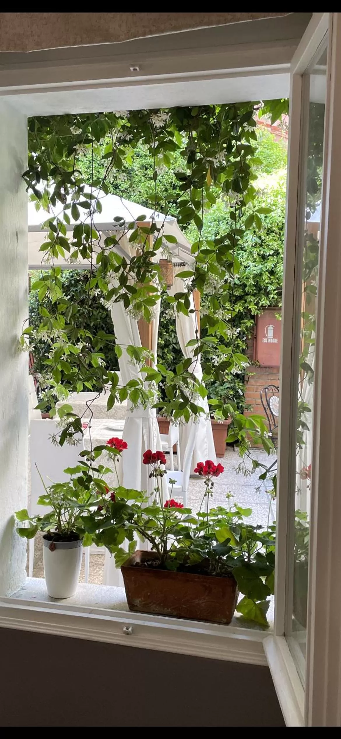 Garden in Hotel Apostoli Garden