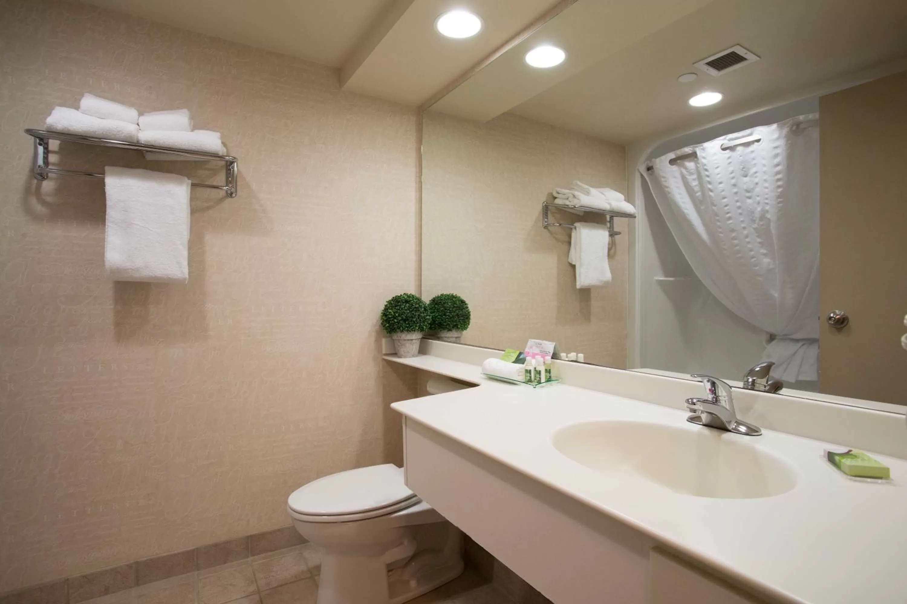 Toilet in Royal Hotel West Edmonton, Trademark Collection by Wyndham