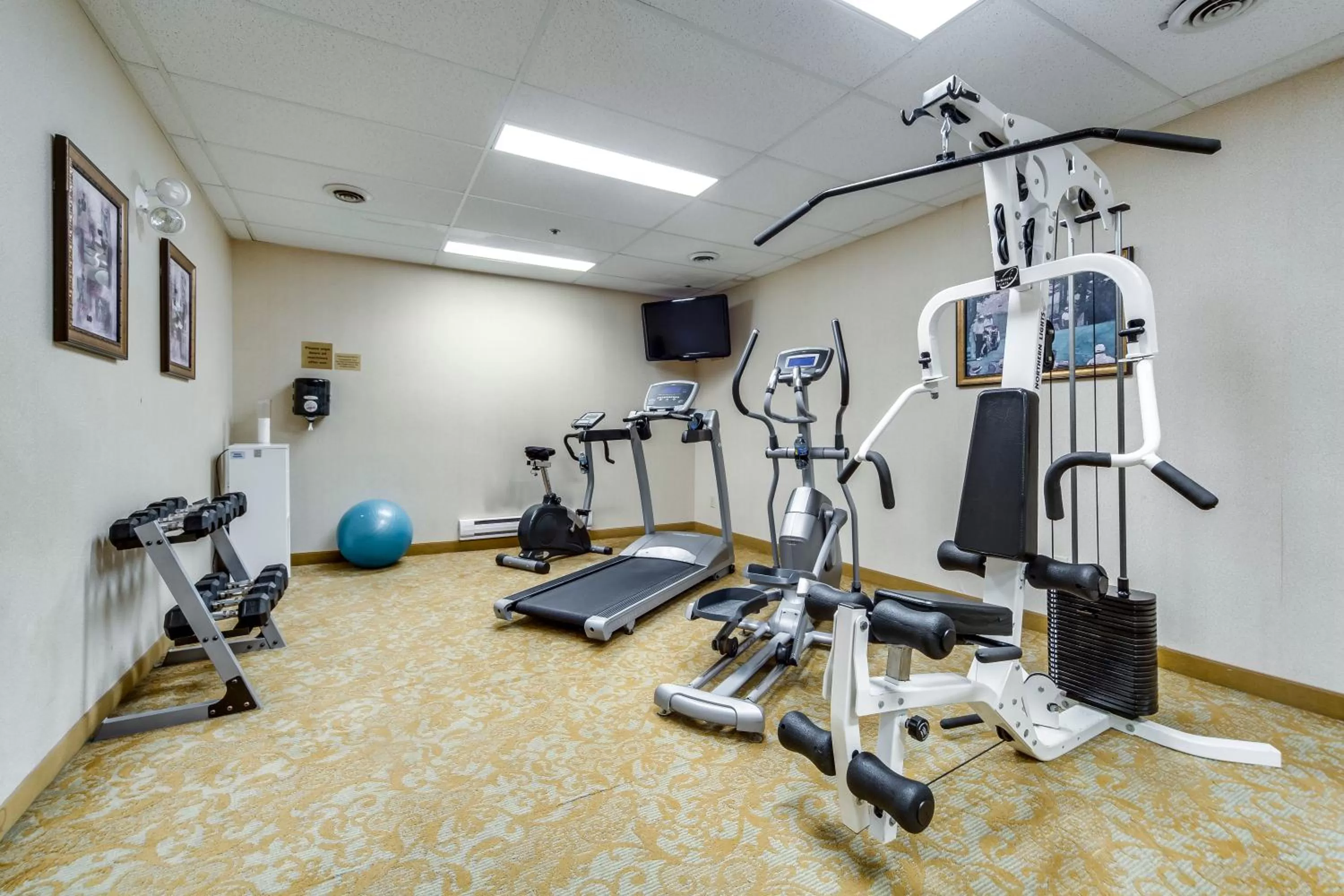 Fitness centre/facilities in Monte Carlo Inn Brampton