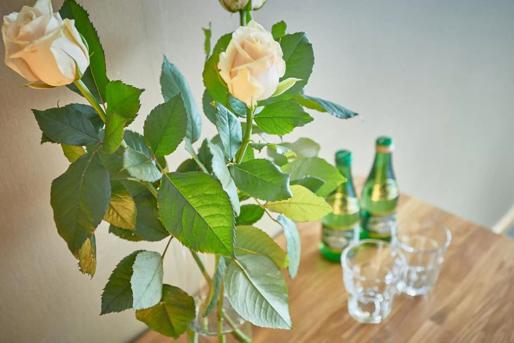 Other in Hotel Batory