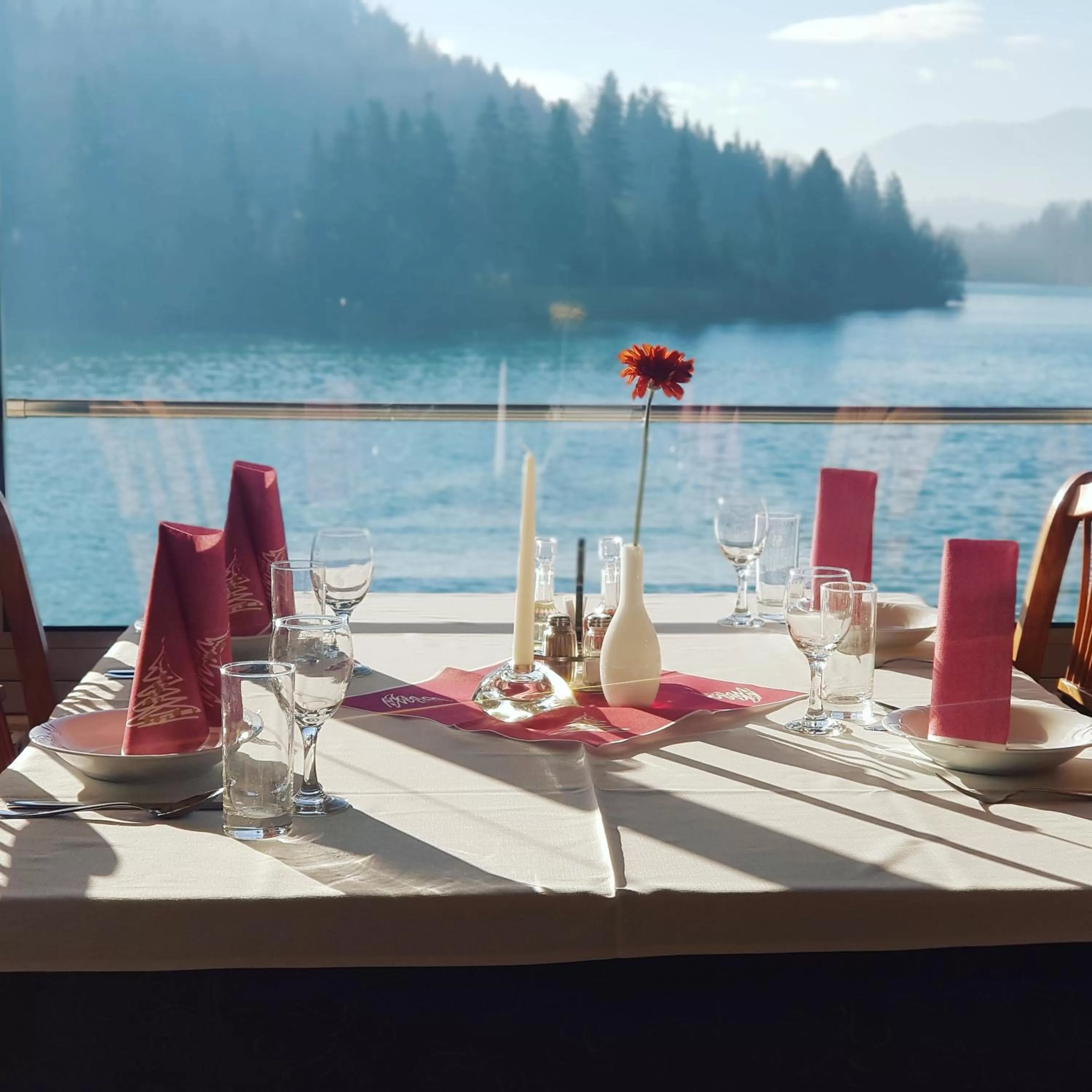 Patio, Restaurant/Places to Eat in Gostisce Jezero