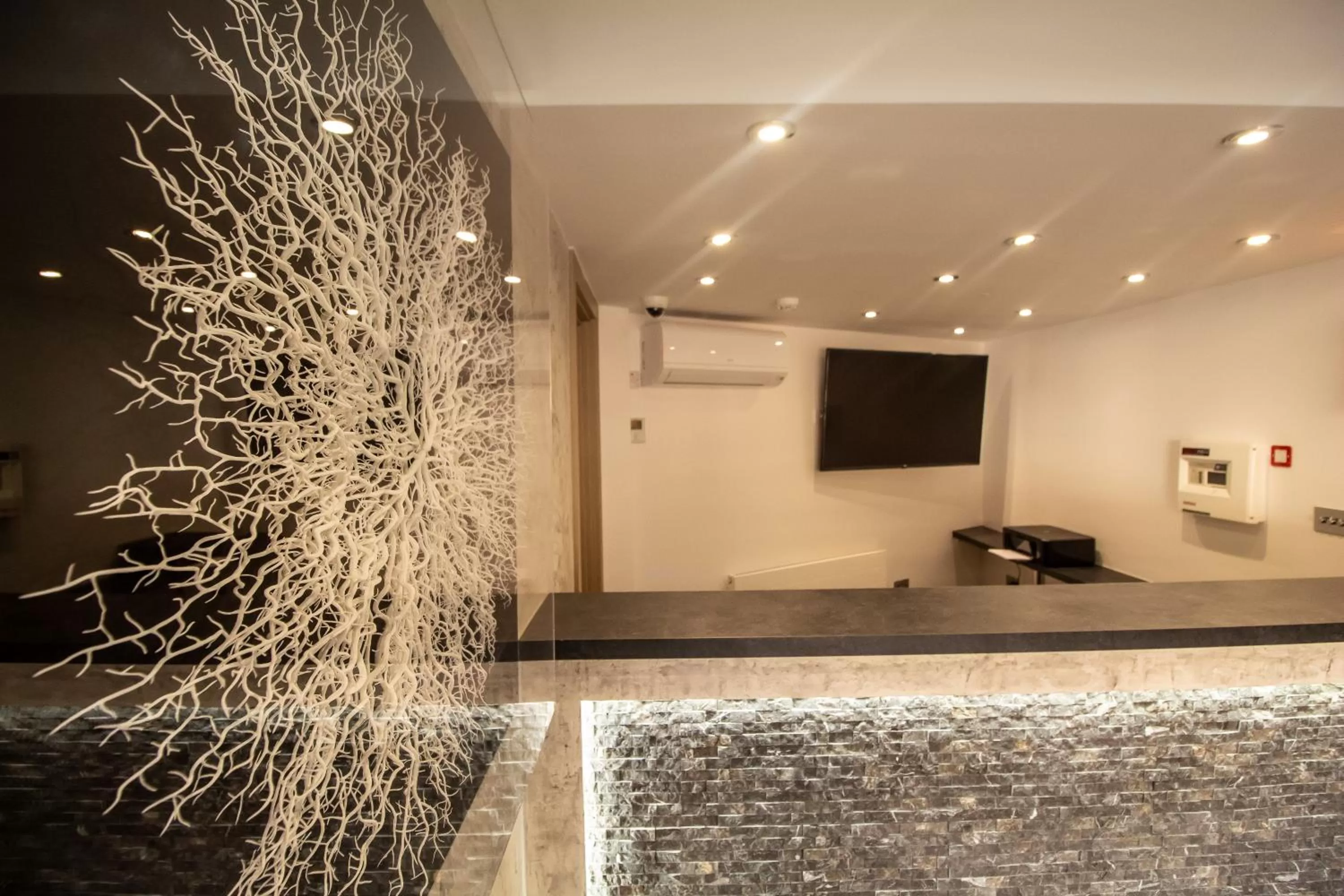 Lobby or reception in Signature Suites