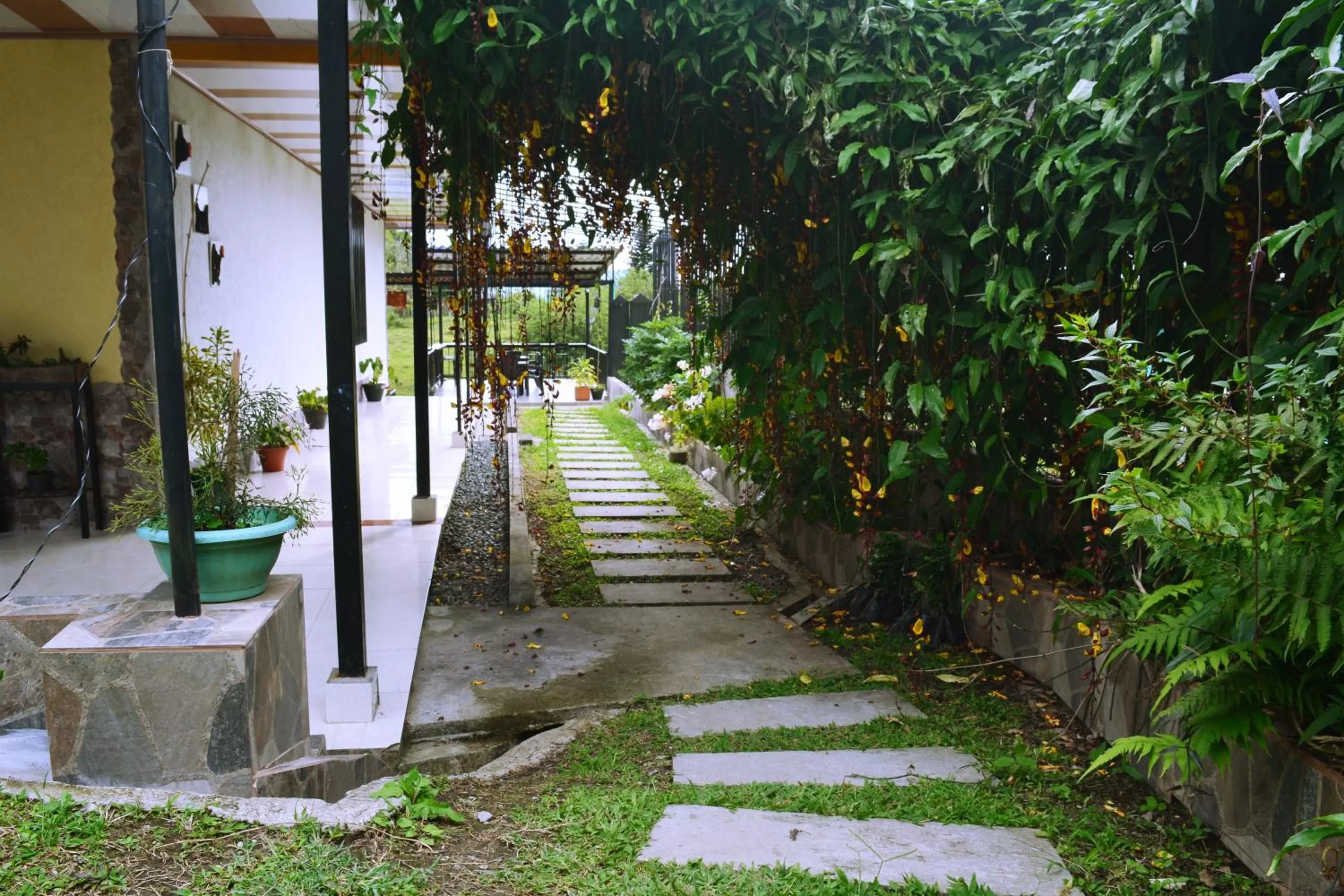 Natural landscape, Garden in Hotel Casa campestre HH