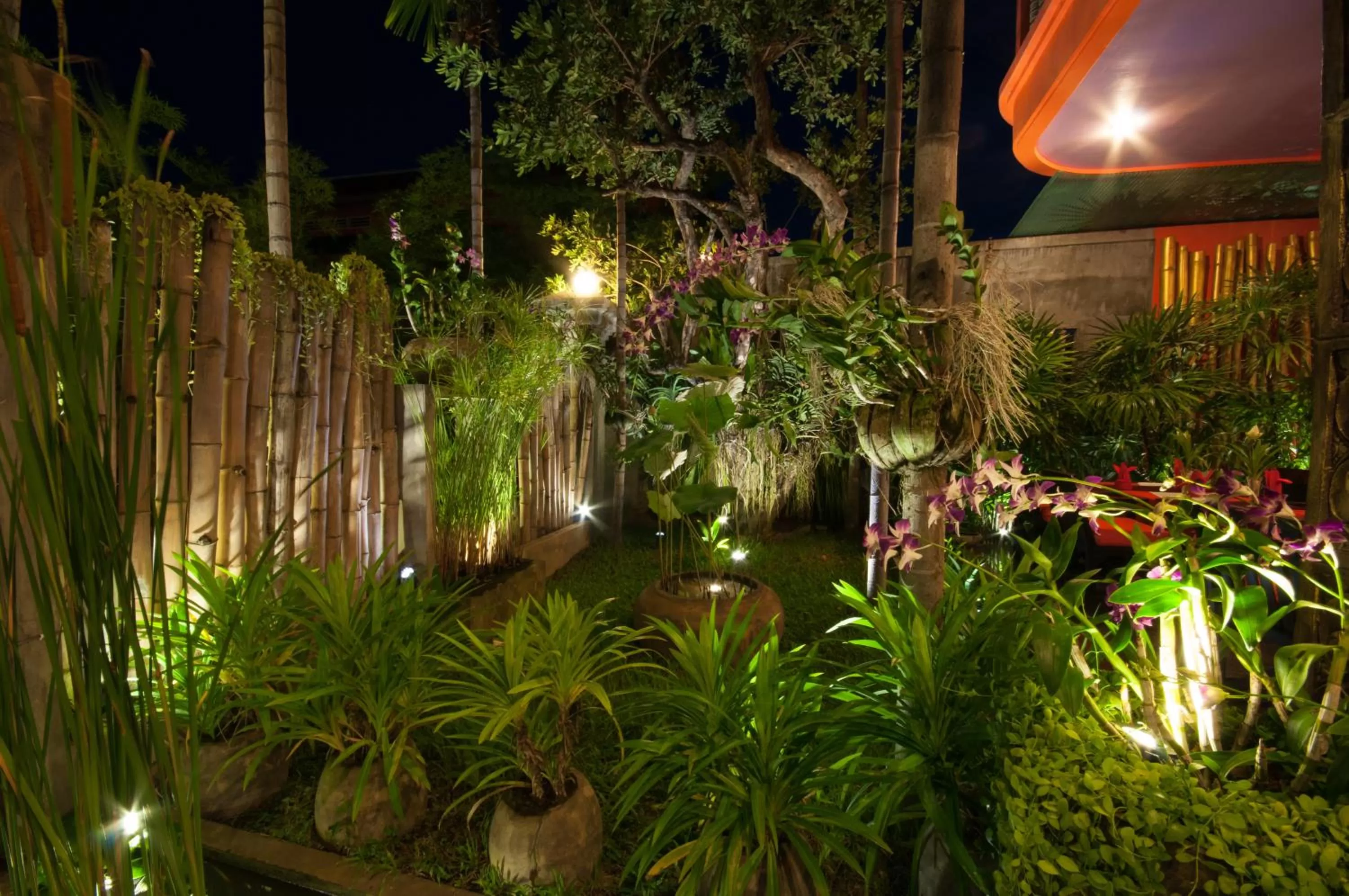 Garden in Golden Butterfly Villa