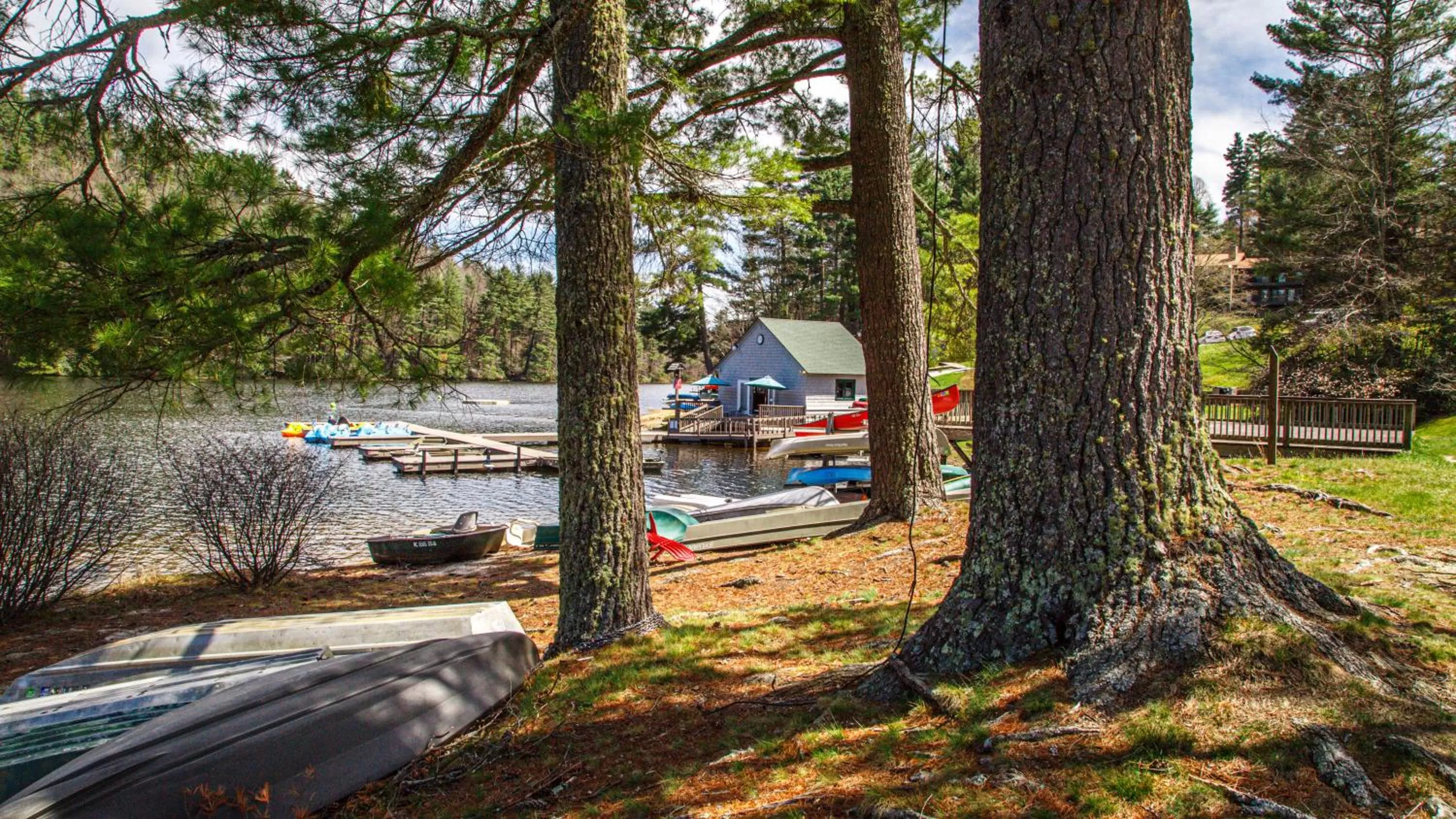 Activities in Fairway Forest