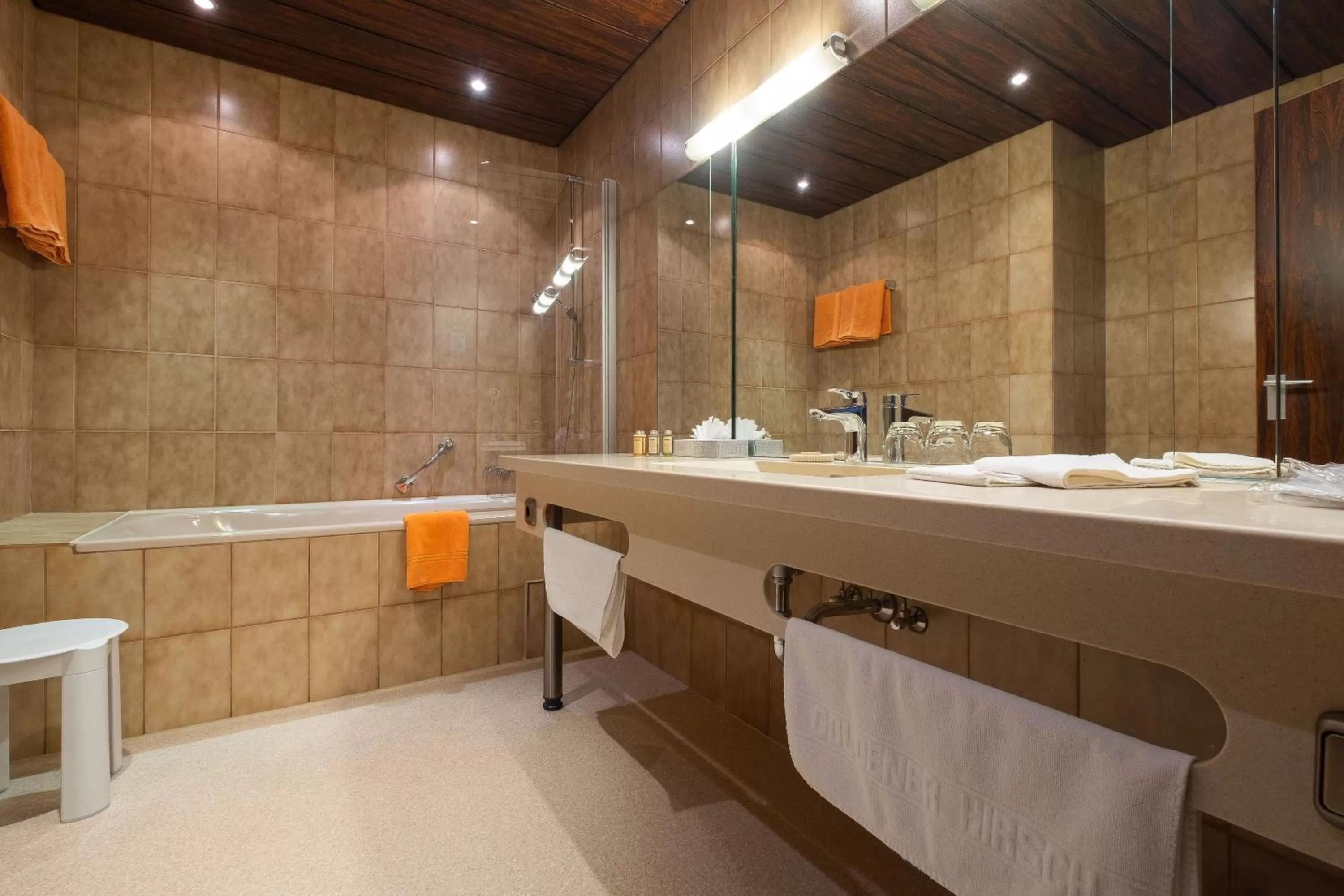 Toilet in Hotel Goldener Hirsch