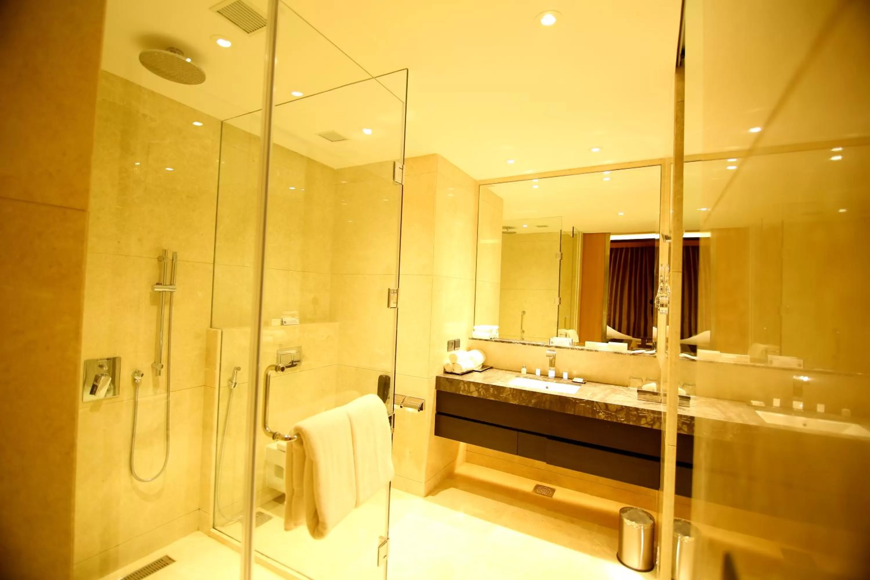 Bathroom in Radisson Blu Coimbatore