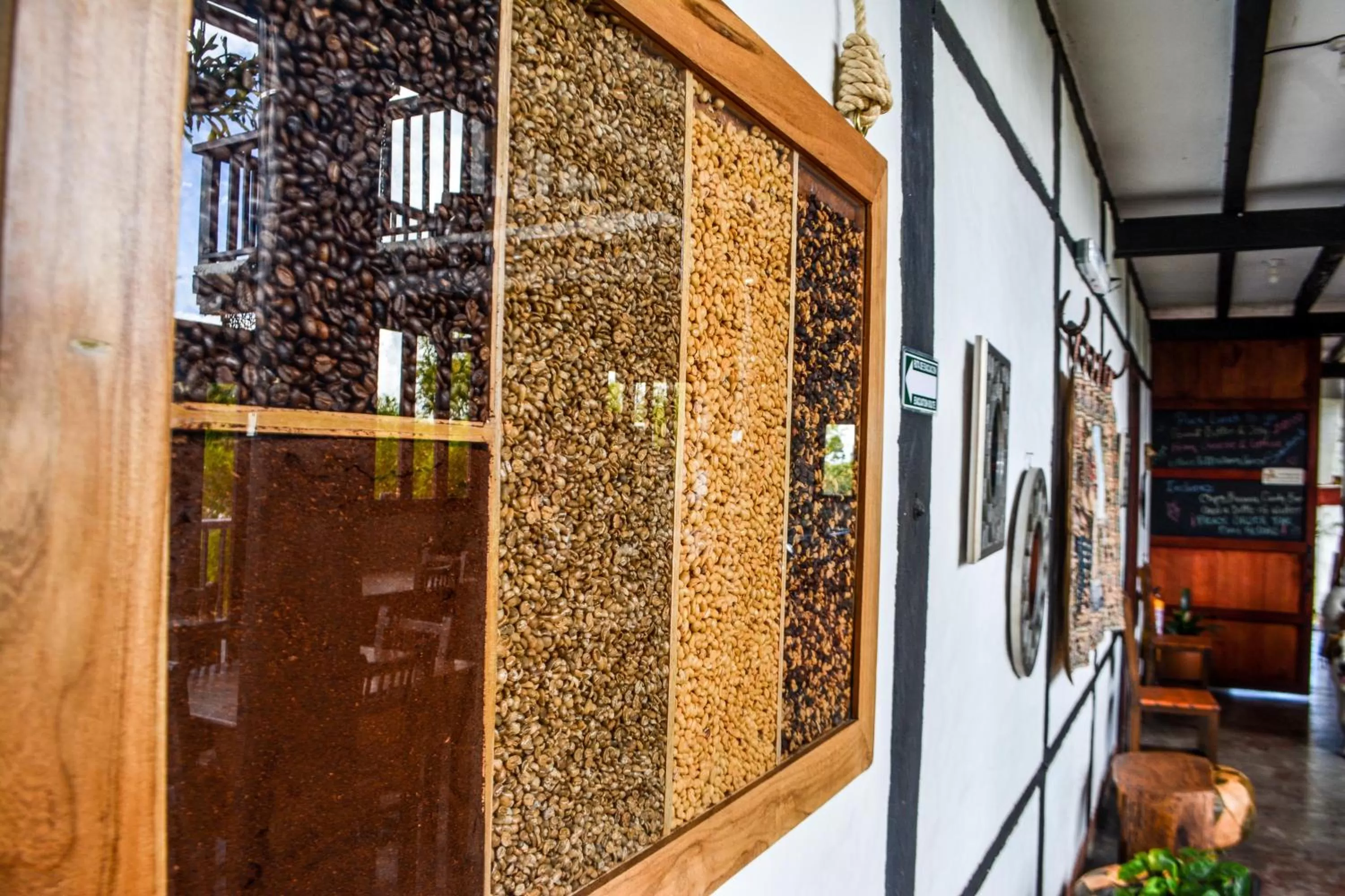 Living room in Coffee Tree Boutique Hostel
