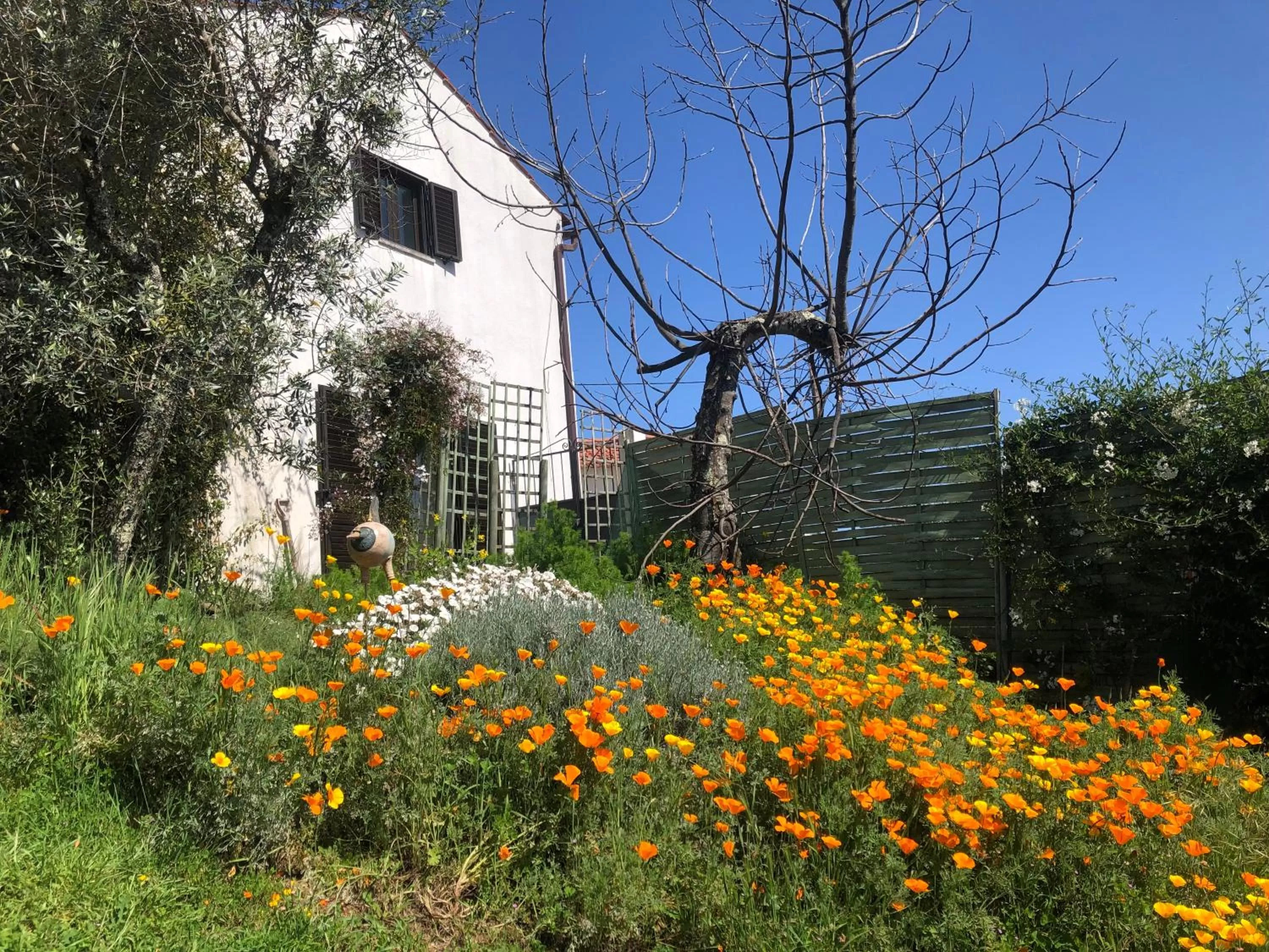 Garden in House Of The Three Marias
