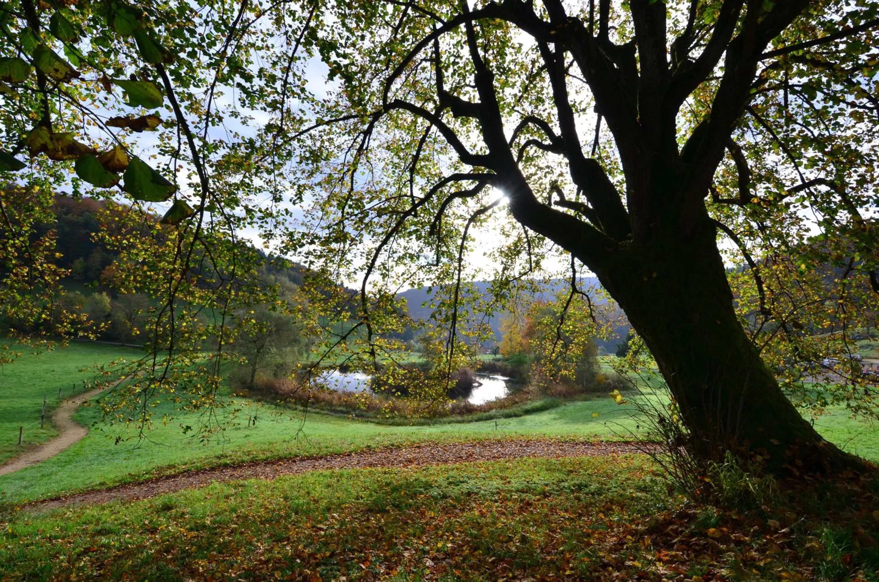 Day in Bad Schauenburg