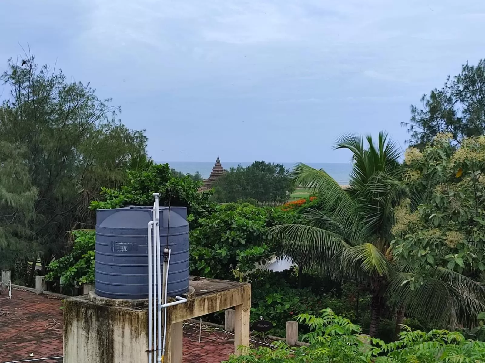 Natural landscape in Sri Murugan Beach Paradise Hotel