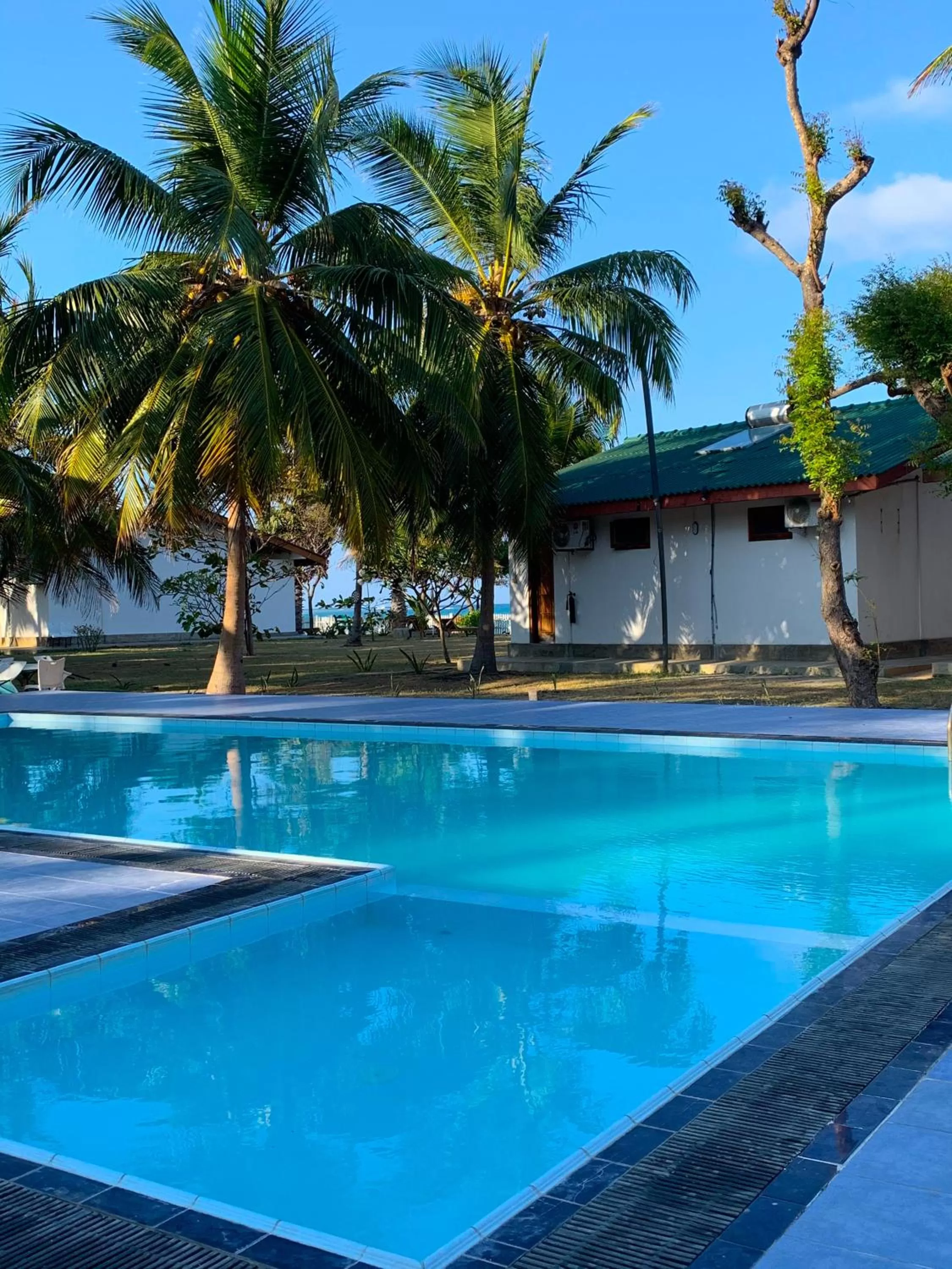 Swimming pool in Pearl Oceanic Resort - Trincomalee