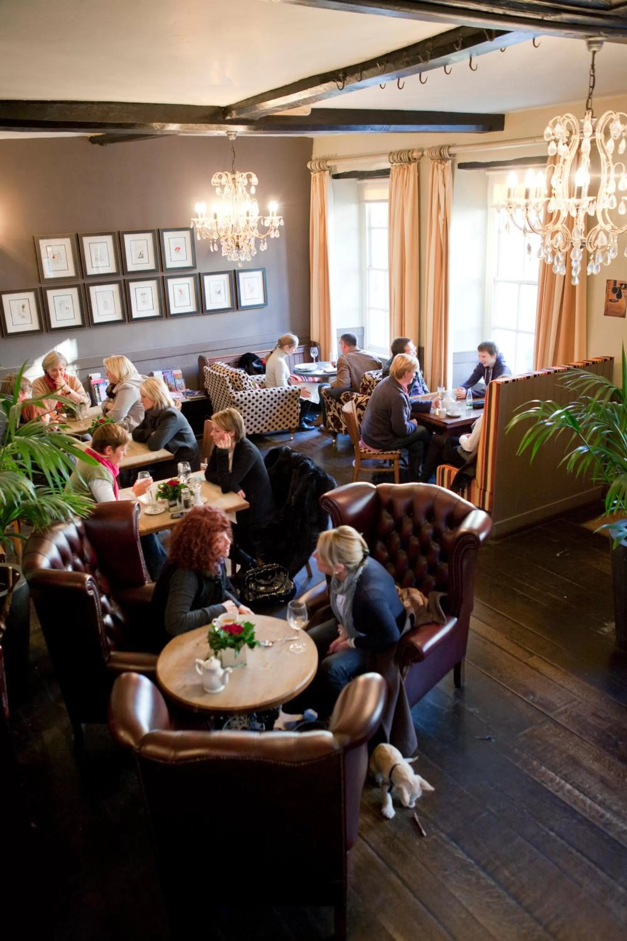 Restaurant/places to eat in The George Hotel & Brasserie, Cranbrook