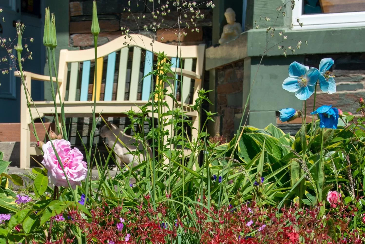 Garden in The Mount B&B