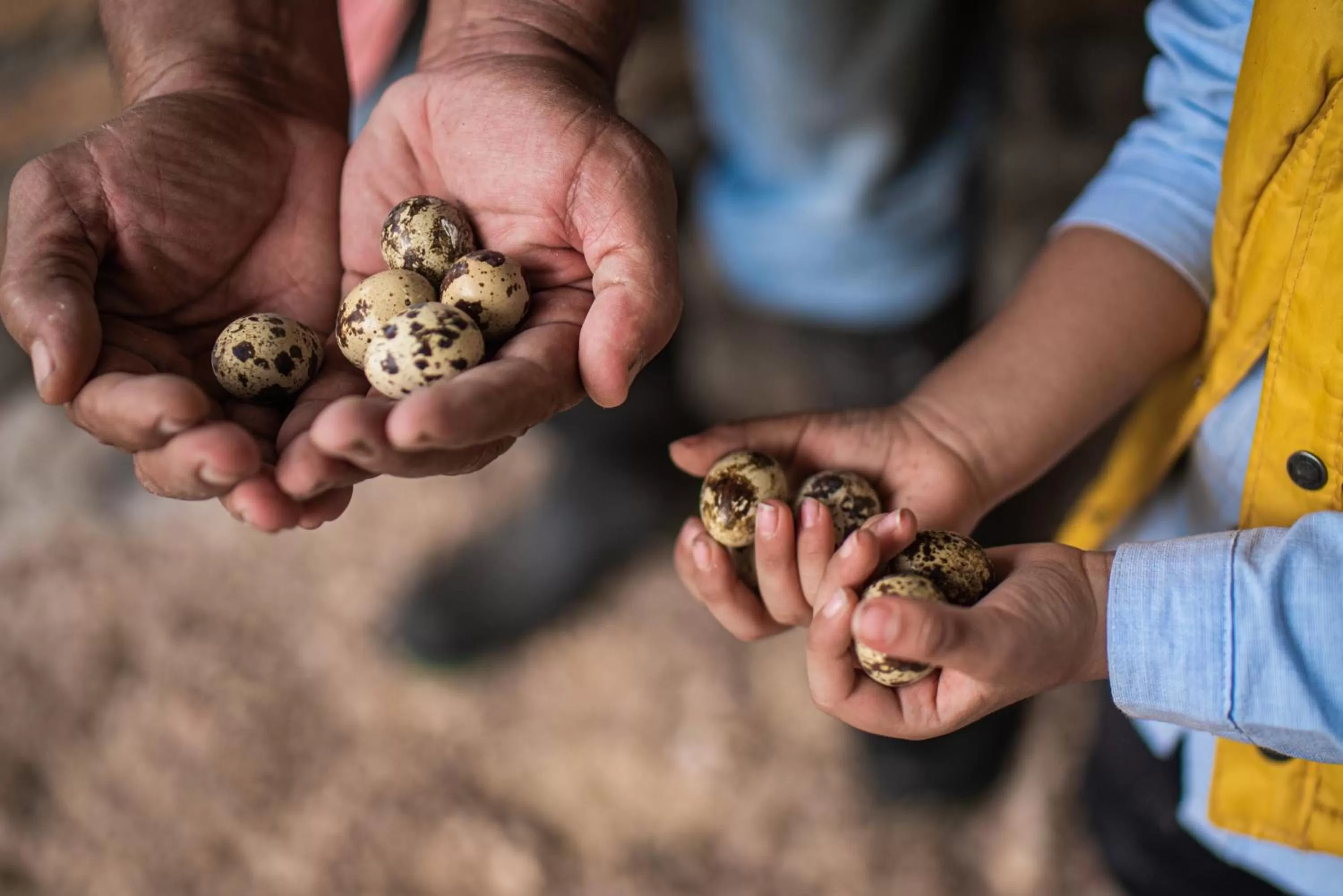 People, Children in Hotel de Campo Villa de Ada
