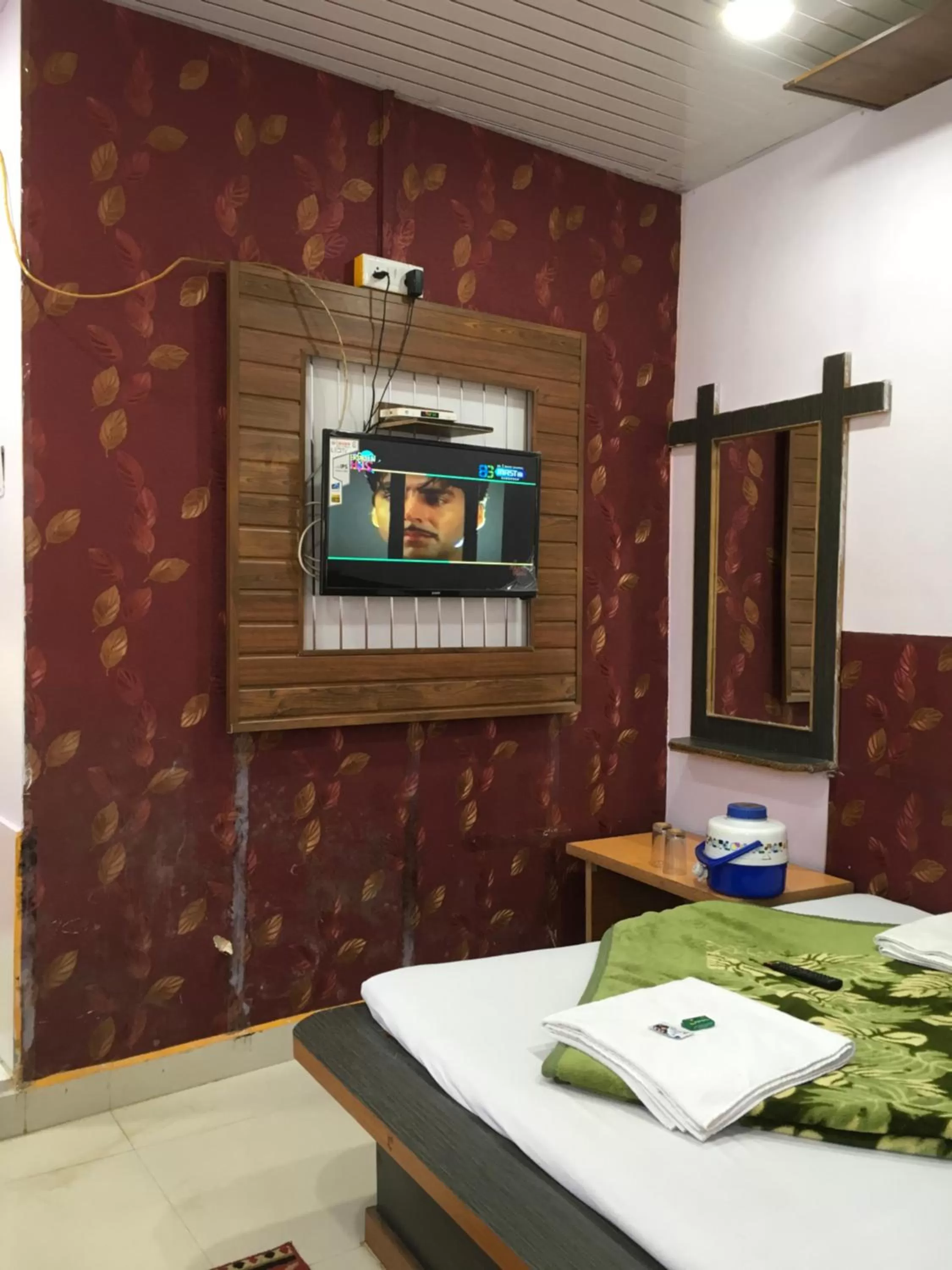 TV and multimedia in Hotel RAJVIHAR