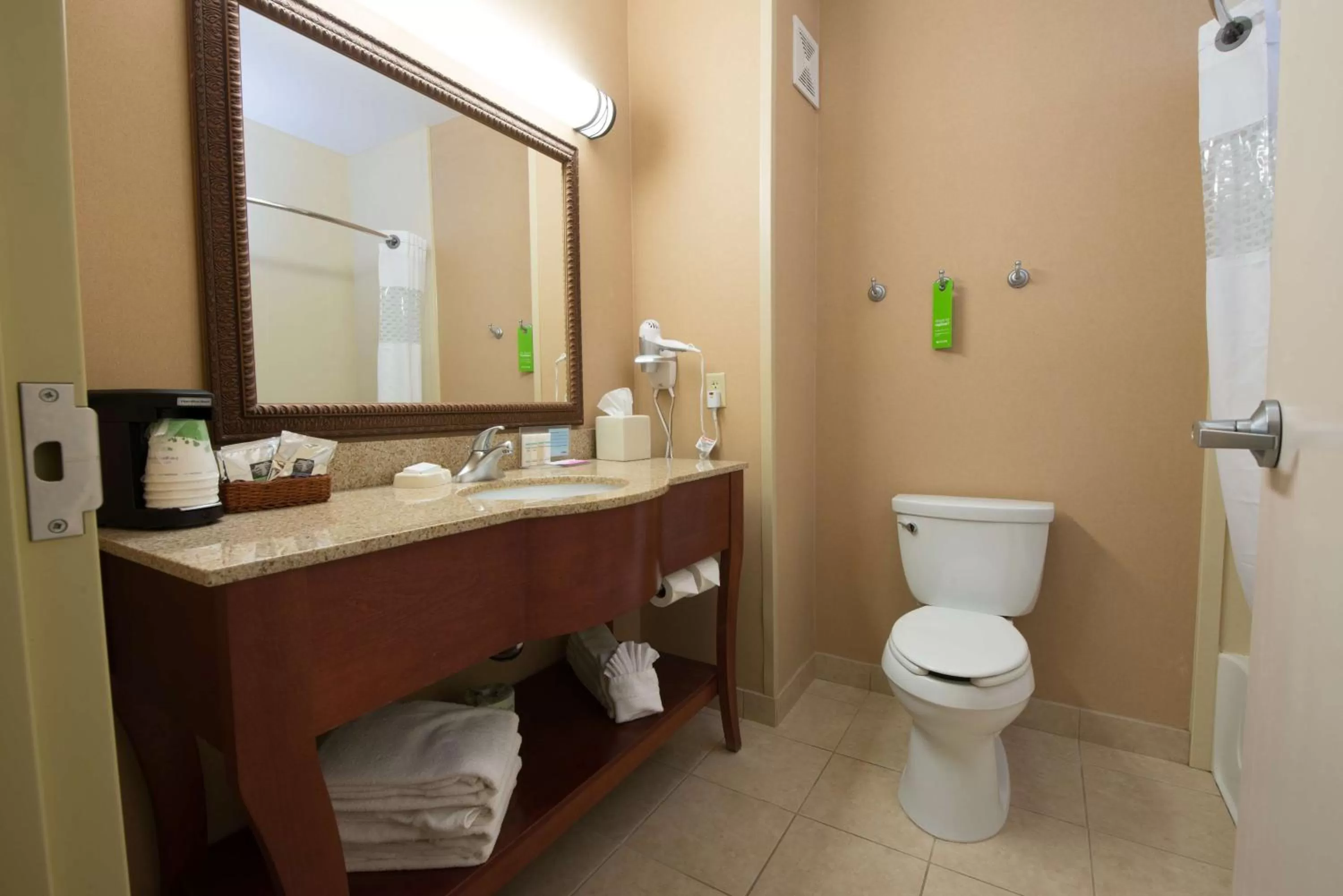 Bathroom in Hampton Inn Bismarck