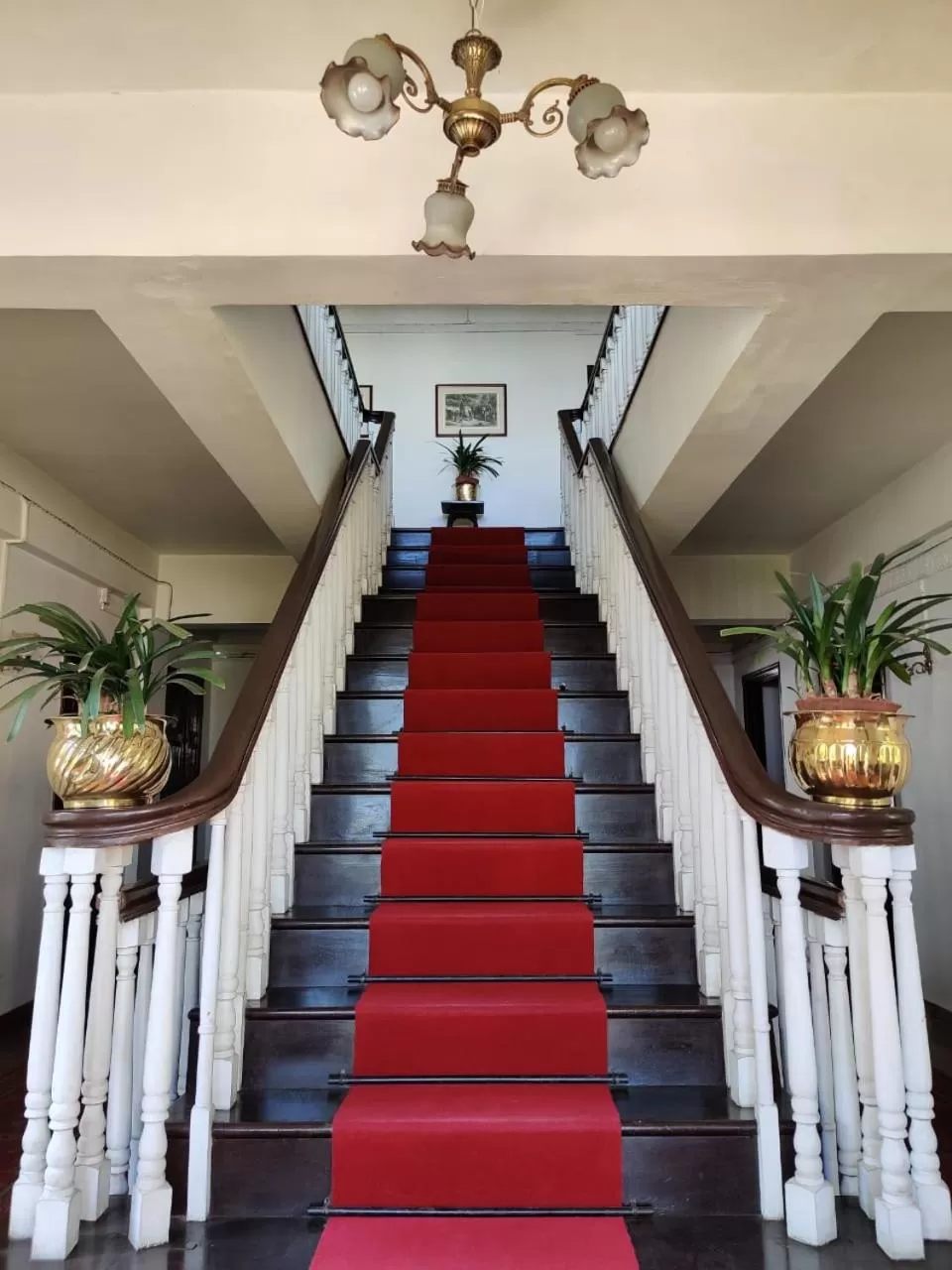 Area and facilities in Windamere Hotel - A Colonial Heritage