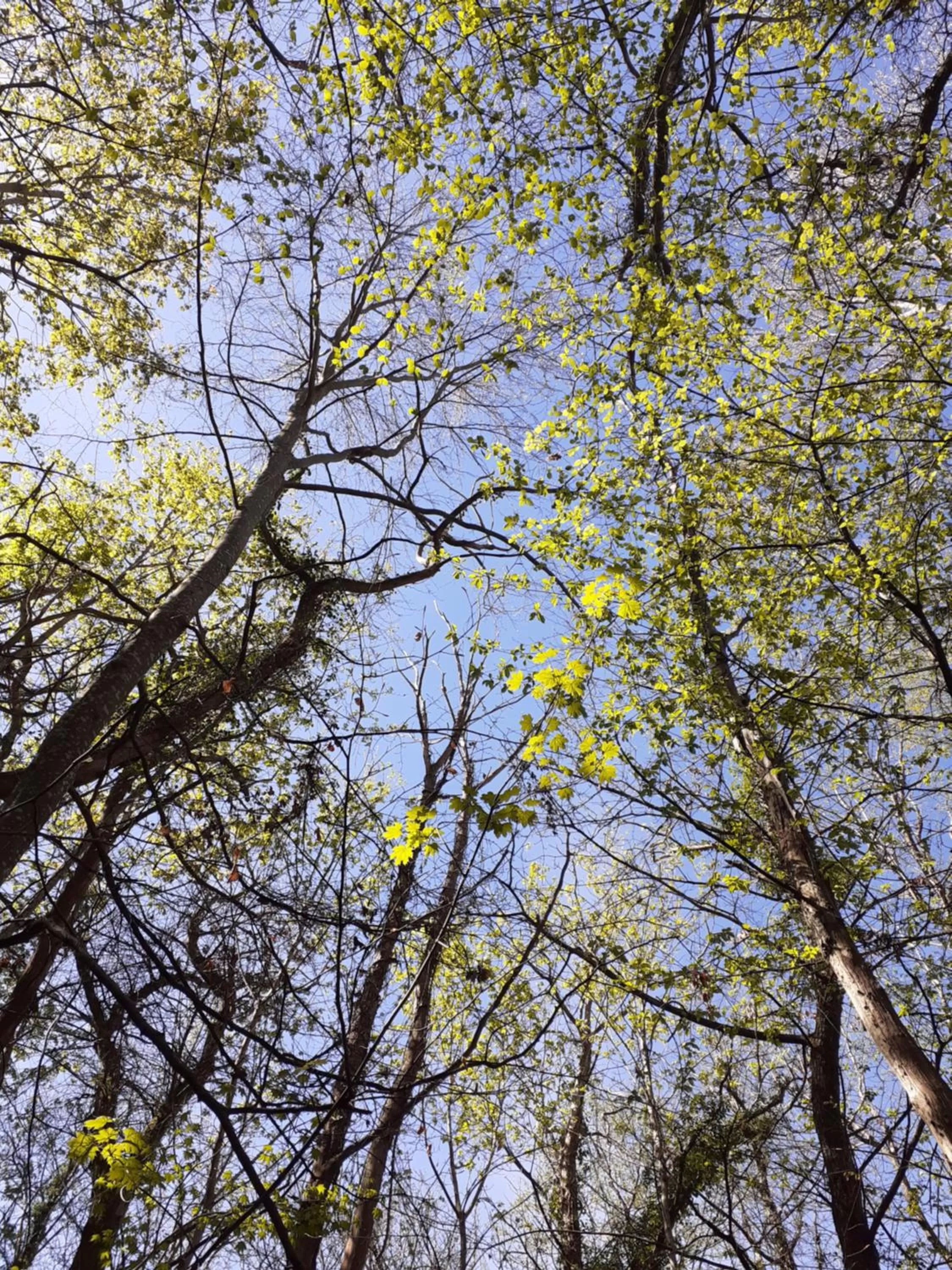 Hiking in Au coucher du lac