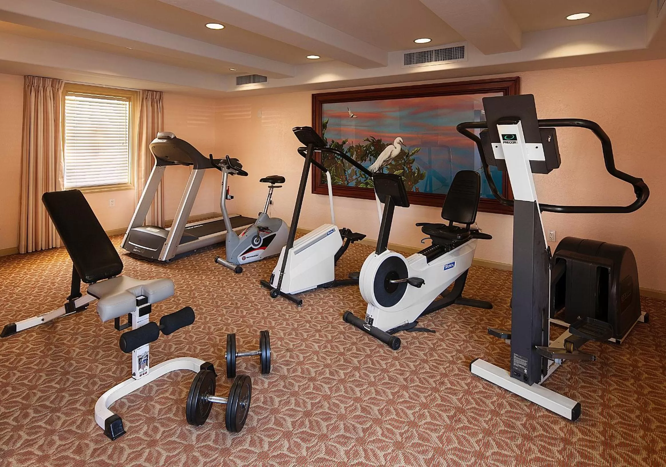 Fitness centre/facilities in Sandpiper Lodge - Santa Barbara